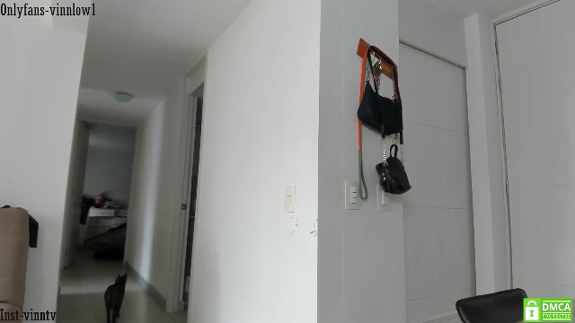 Gallery image thumbnail from Vinnlow's myfreecams stream on, 07/19/2024, 14:27 image 16 of 20