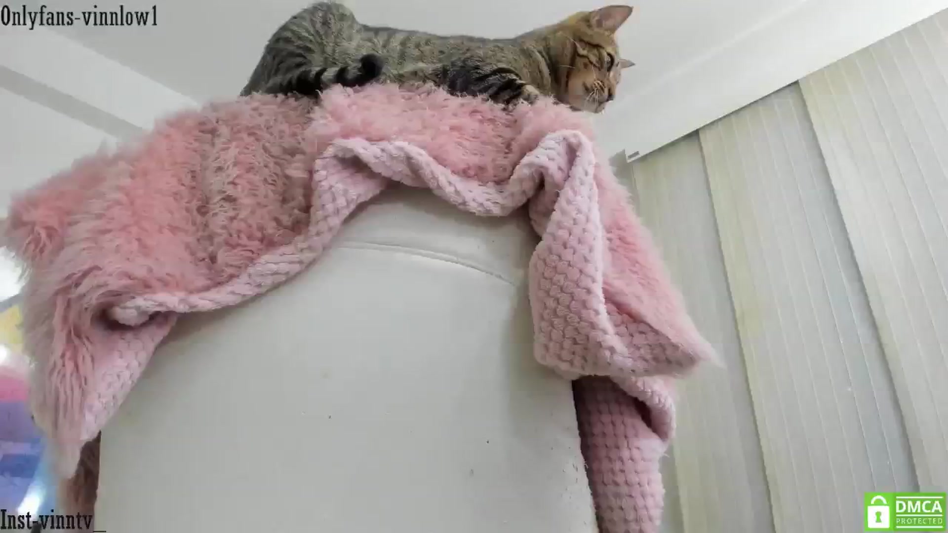 Gallery image thumbnail from Vinnlow's myfreecams stream on, 10/17/2024, 23:25 image 11 of 20