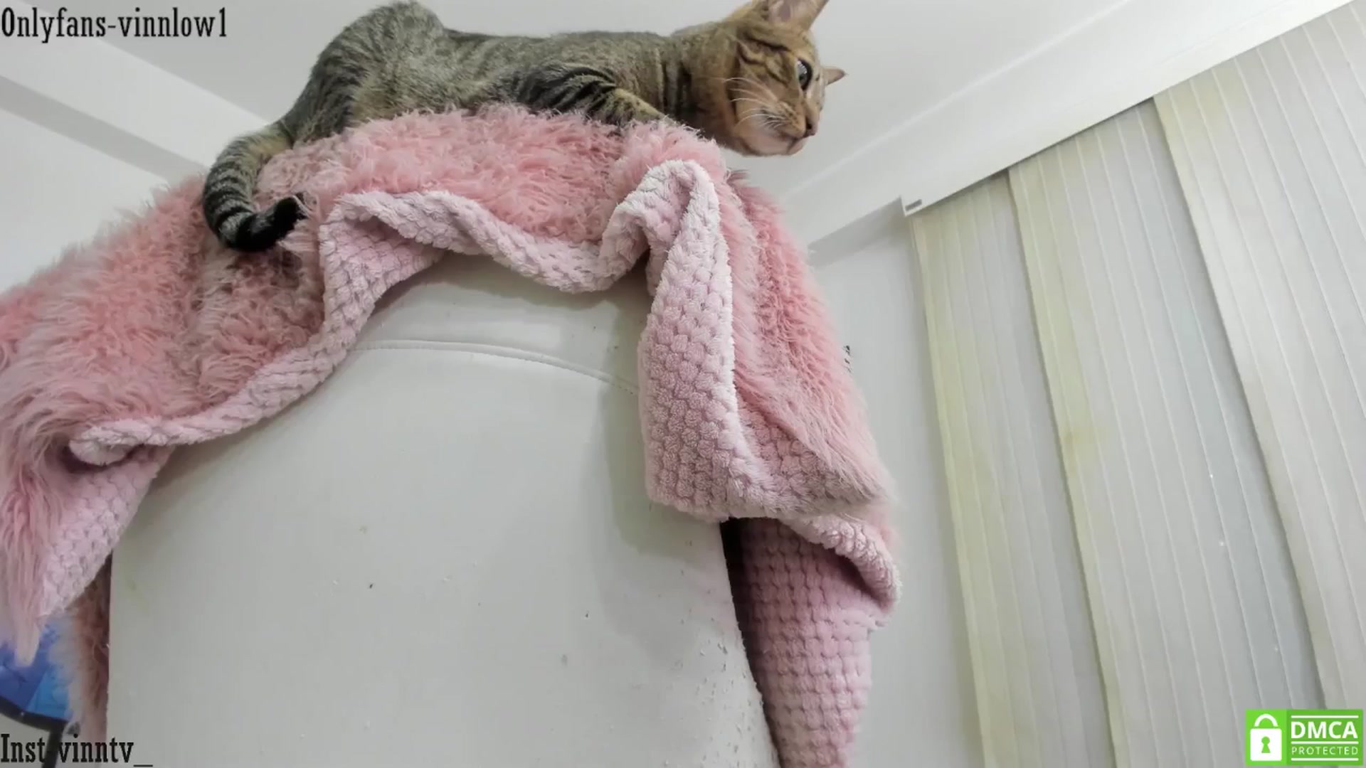 Gallery image thumbnail from Vinnlow's myfreecams stream on, 10/17/2024, 23:25 image 16 of 20
