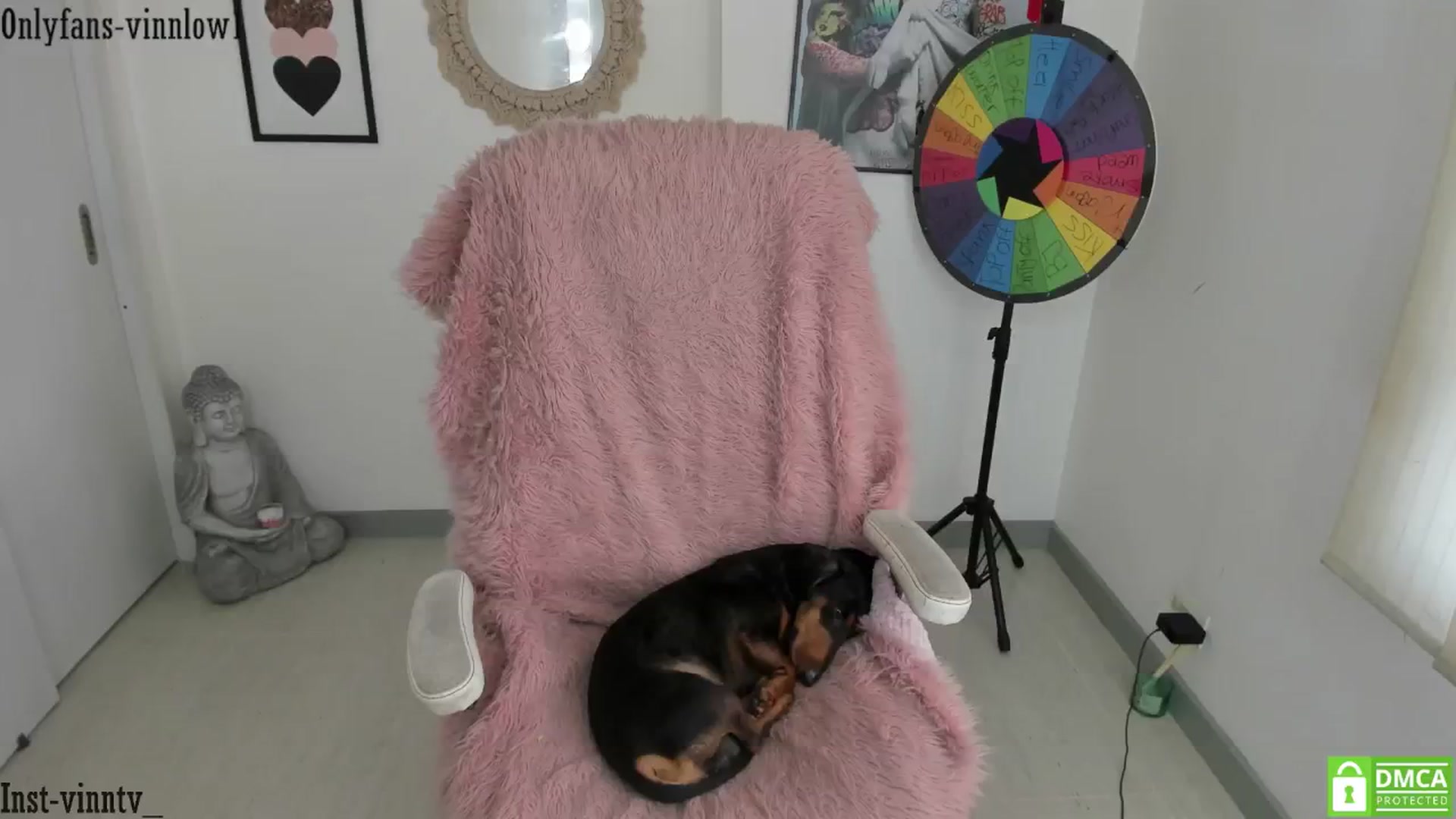 Gallery image thumbnail from Vinnlow's myfreecams stream on, 05/14/2025, 20:04 image 18 of 20