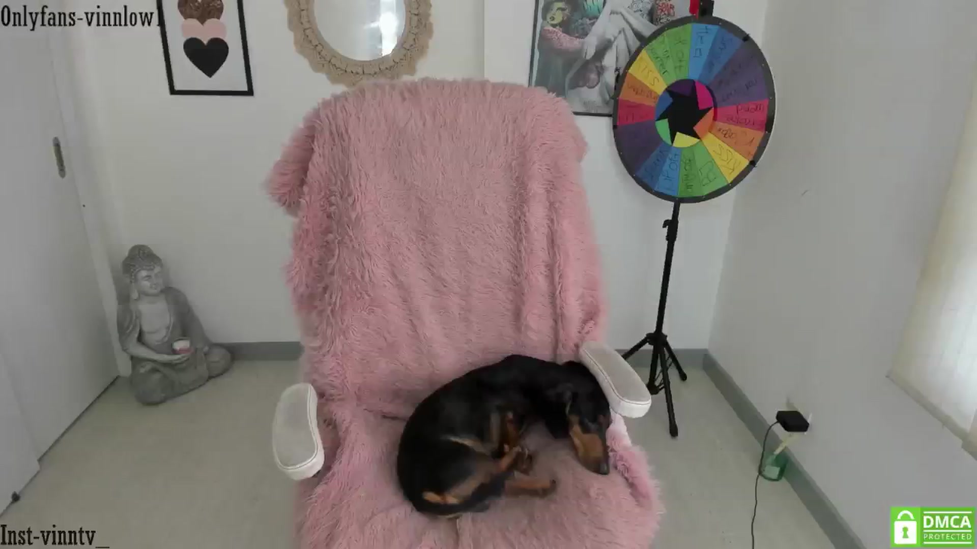 Gallery image thumbnail from Vinnlow's myfreecams stream on, 05/14/2025, 20:04 image 17 of 20