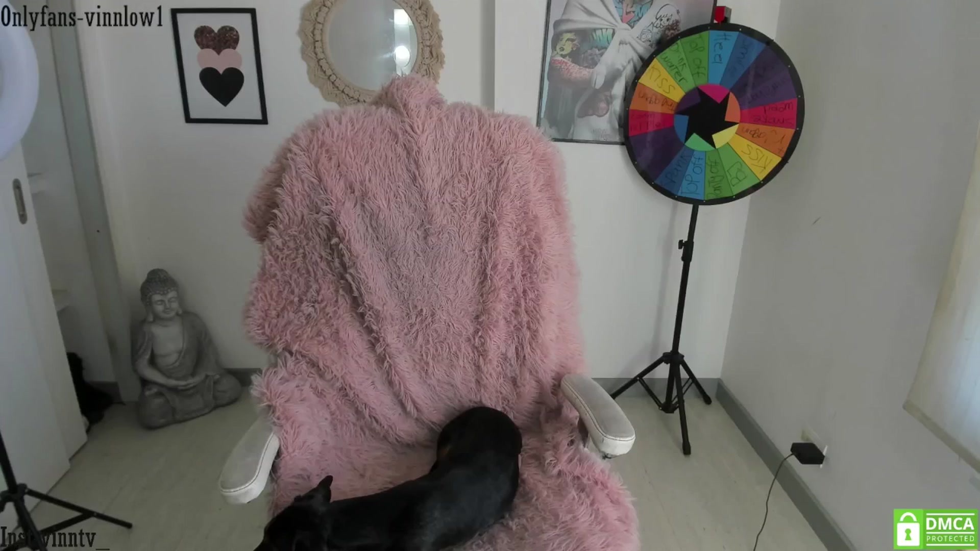 Gallery image thumbnail from Vinnlow's myfreecams stream on, 08/19/2025, 21:52 image 17 of 20