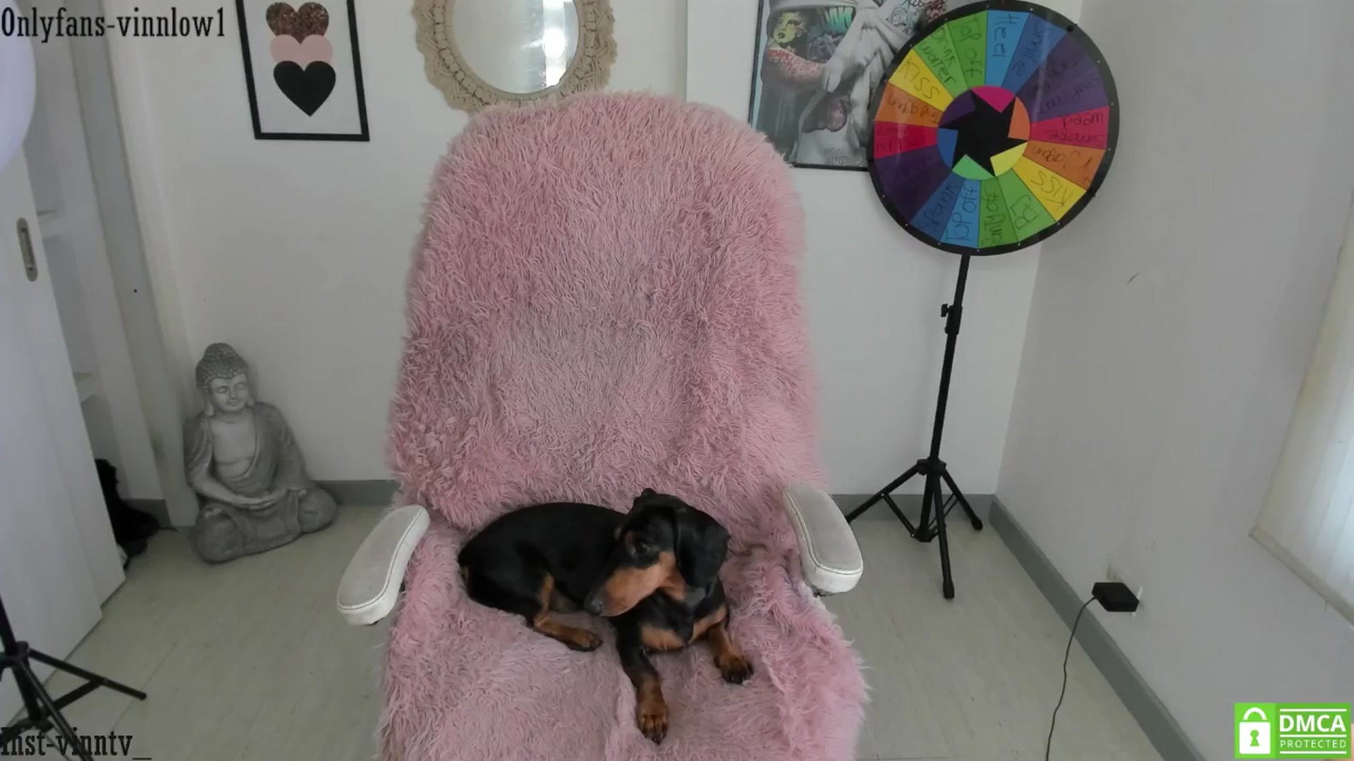 Gallery image thumbnail from Vinnlow's myfreecams stream on, 08/19/2025, 23:10 image 8 of 20