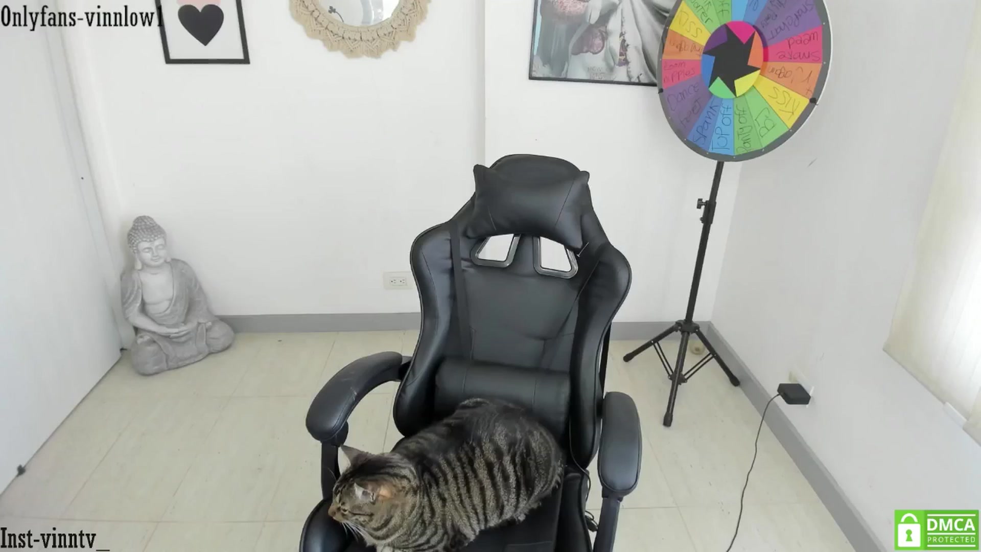Gallery image thumbnail from Vinnlow's myfreecams stream on, 10/02/2025, 17:04 image 9 of 20