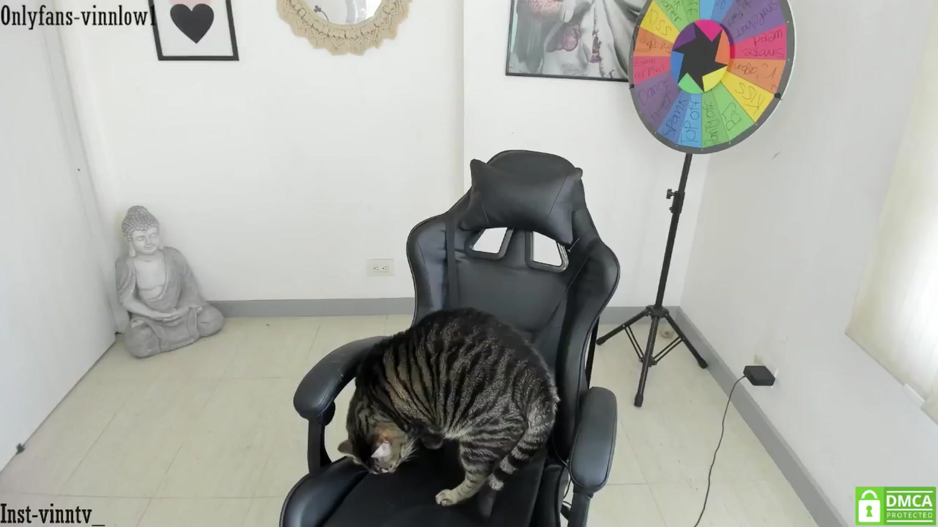 Gallery image thumbnail from Vinnlow's myfreecams stream on, 10/02/2025, 17:04 image 7 of 20