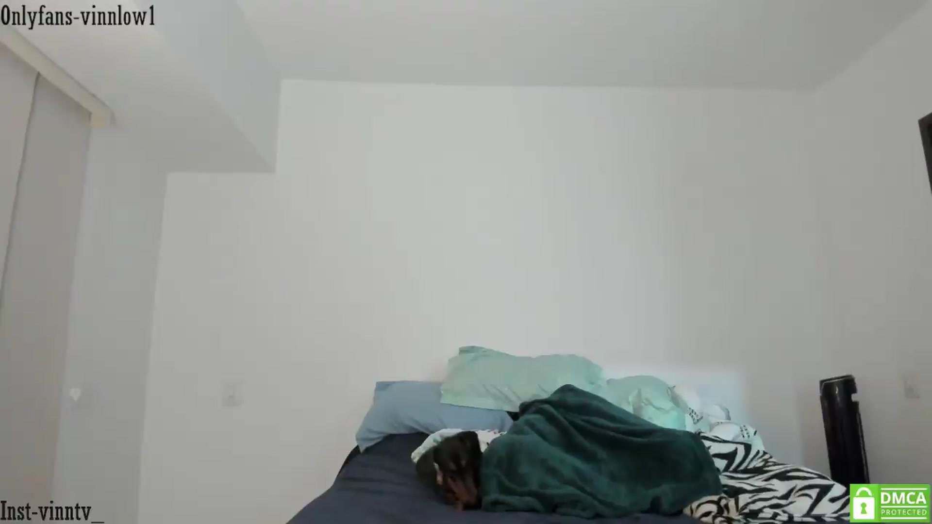 Gallery image thumbnail from Vinnlow's myfreecams stream on, 05/31/2026, 01:29 image 11 of 20