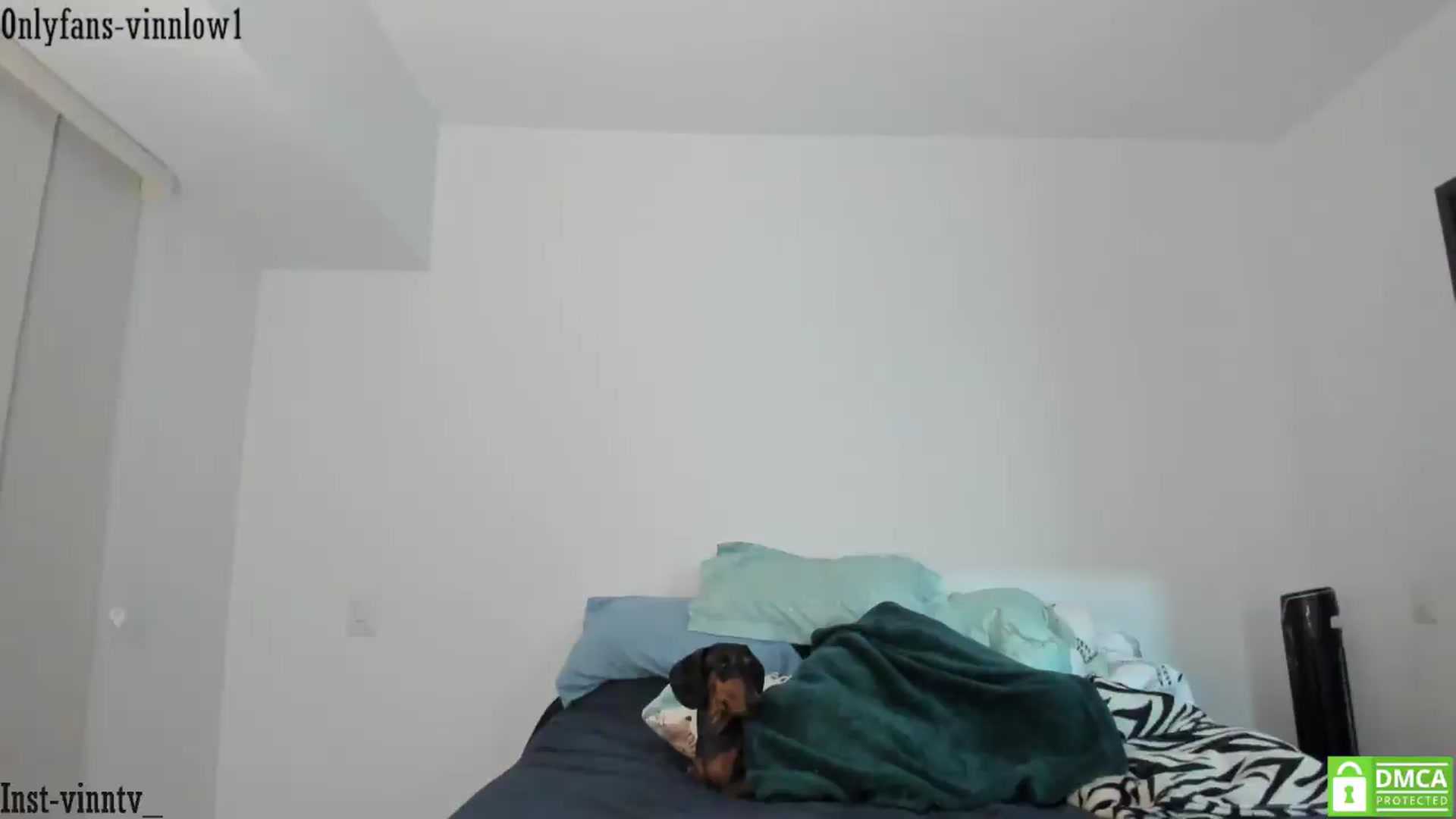 Gallery image thumbnail from Vinnlow's myfreecams stream on, 05/31/2026, 01:29 image 9 of 20