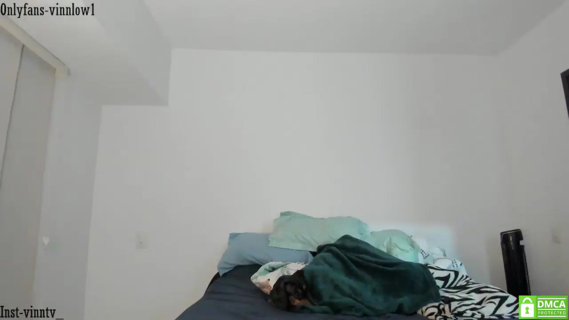 Gallery image thumbnail from Vinnlow's myfreecams stream on, 05/31/2026, 01:29 image 10 of 20