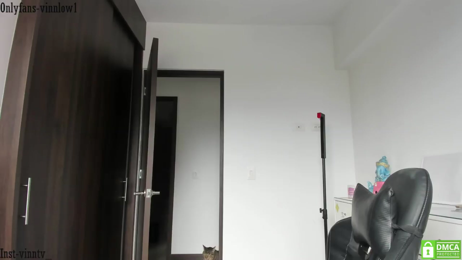 Gallery image thumbnail from Vinnlow's myfreecams stream on, 06/07/2026, 15:14 image 14 of 20