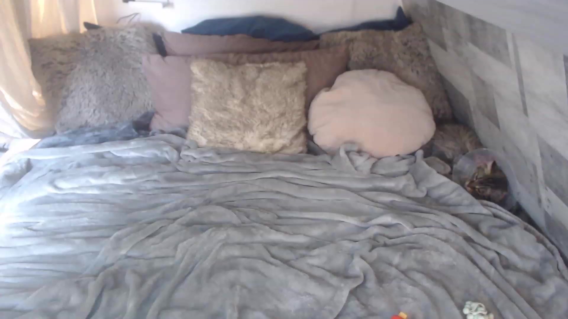 Gallery image thumbnail from VinnyVanGhoe's myfreecams stream on, 05/30/2023, 19:05 image 17 of 20