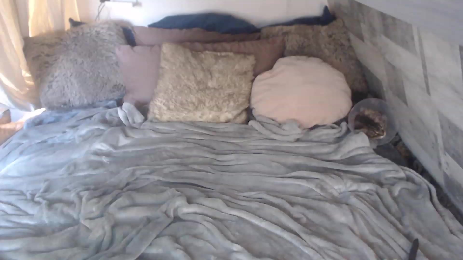 Gallery image thumbnail from VinnyVanGhoe's myfreecams stream on, 05/30/2023, 19:05 image 1 of 20