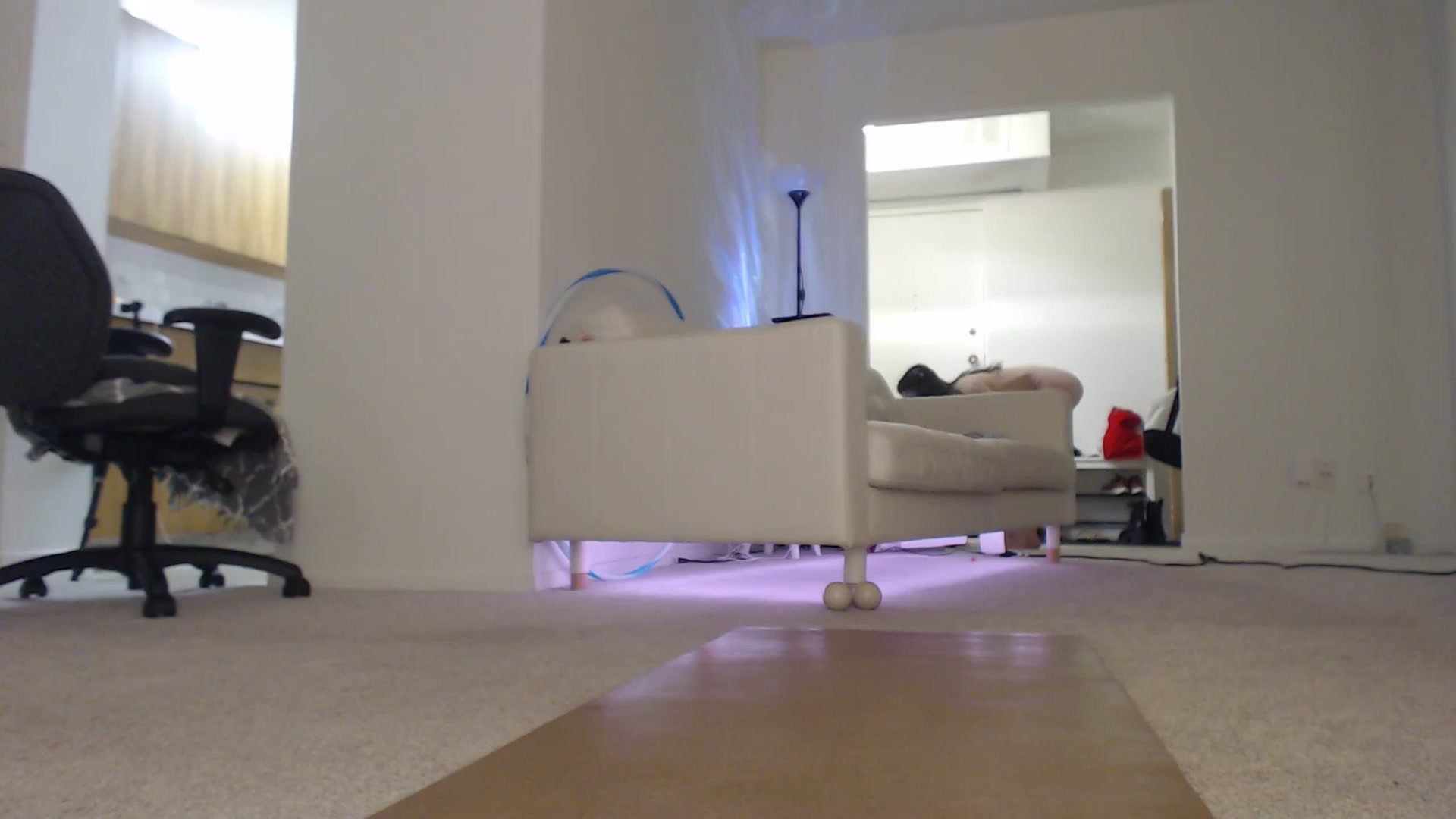 Gallery image thumbnail from VioletFoxy's myfreecams stream on, 01/01/2026, 24:02 image 14 of 20