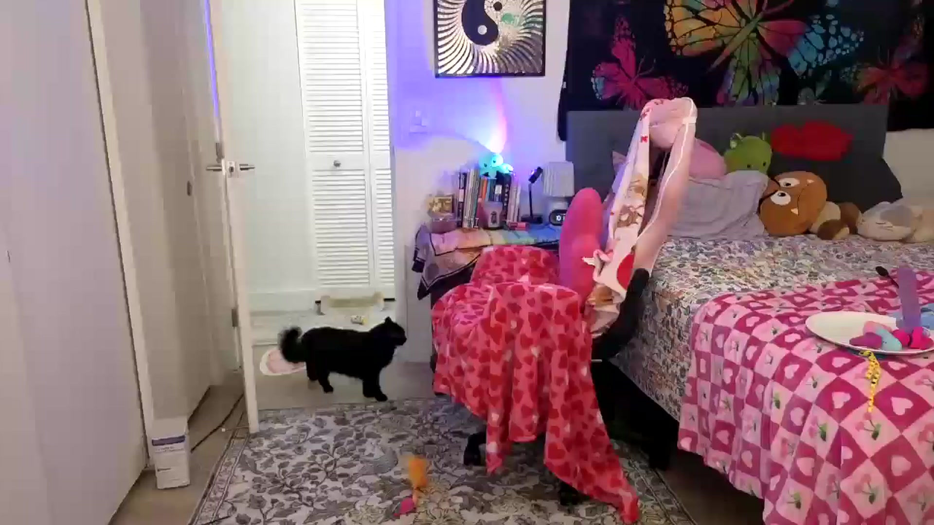 Gallery image thumbnail from VioletRay's myfreecams stream on, 10/14/2025, 05:42 image 15 of 20