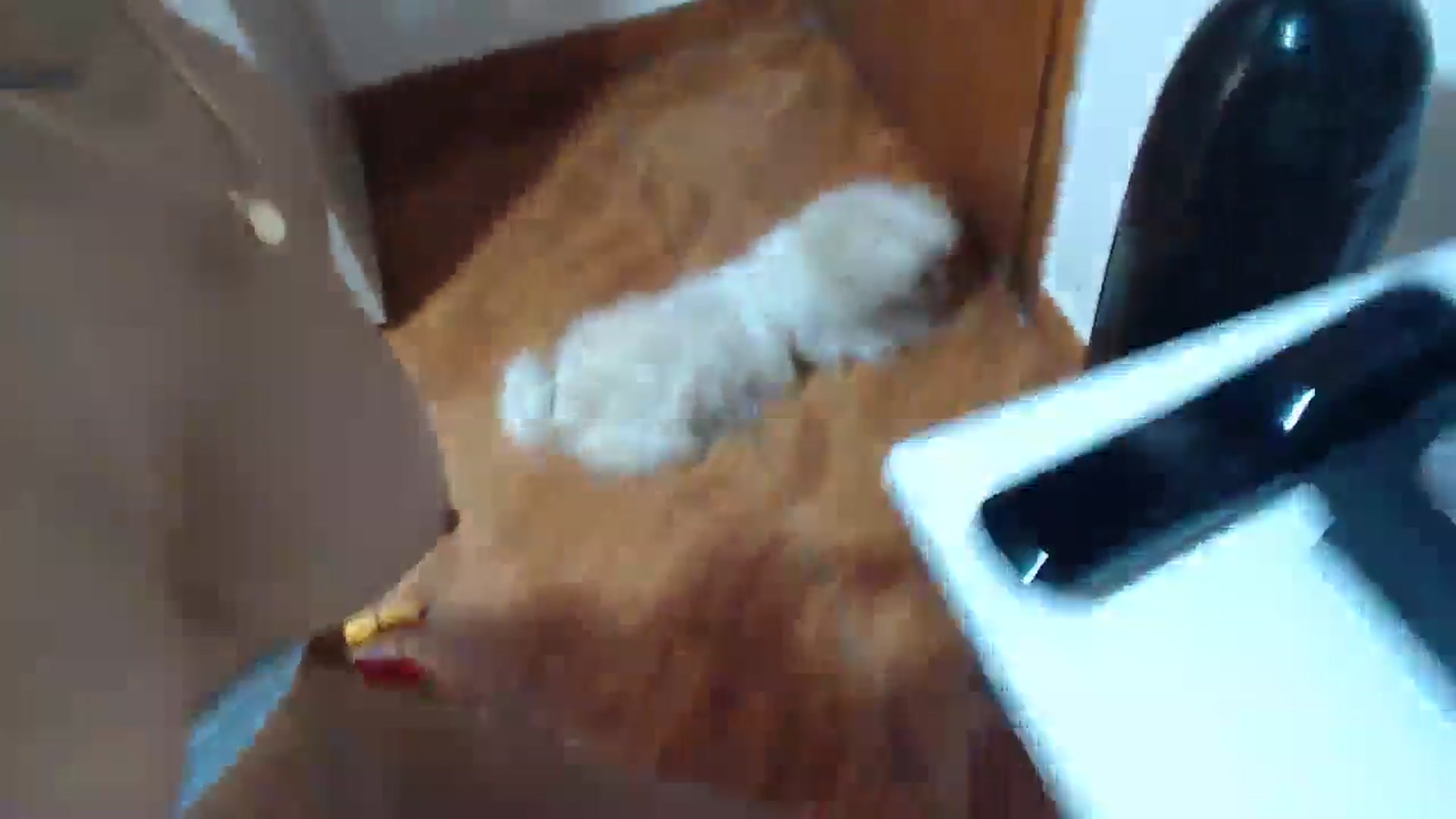 Gallery image thumbnail from Violet_Mart's myfreecams stream on, 11/09/2024, 15:53 image 18 of 20