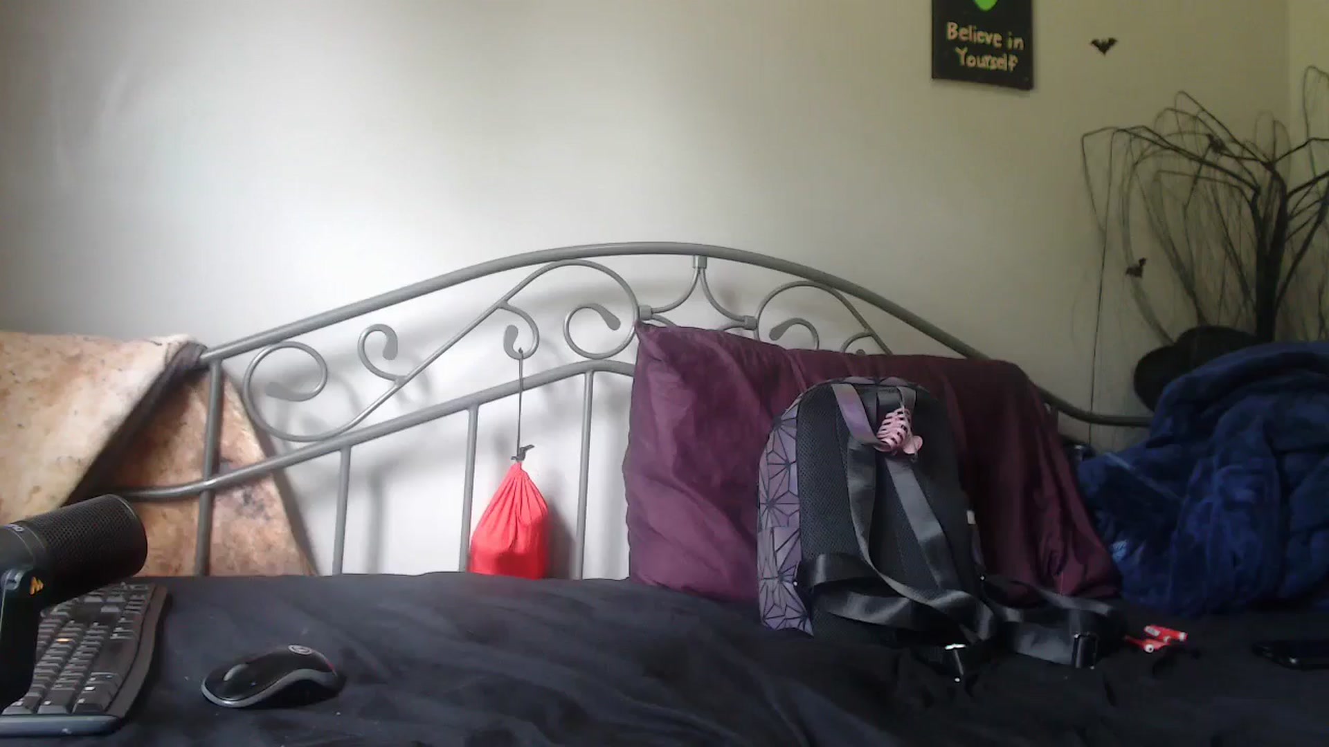 Gallery image thumbnail from Violethooper1's myfreecams stream on, 05/24/2024, 15:18 image 19 of 20