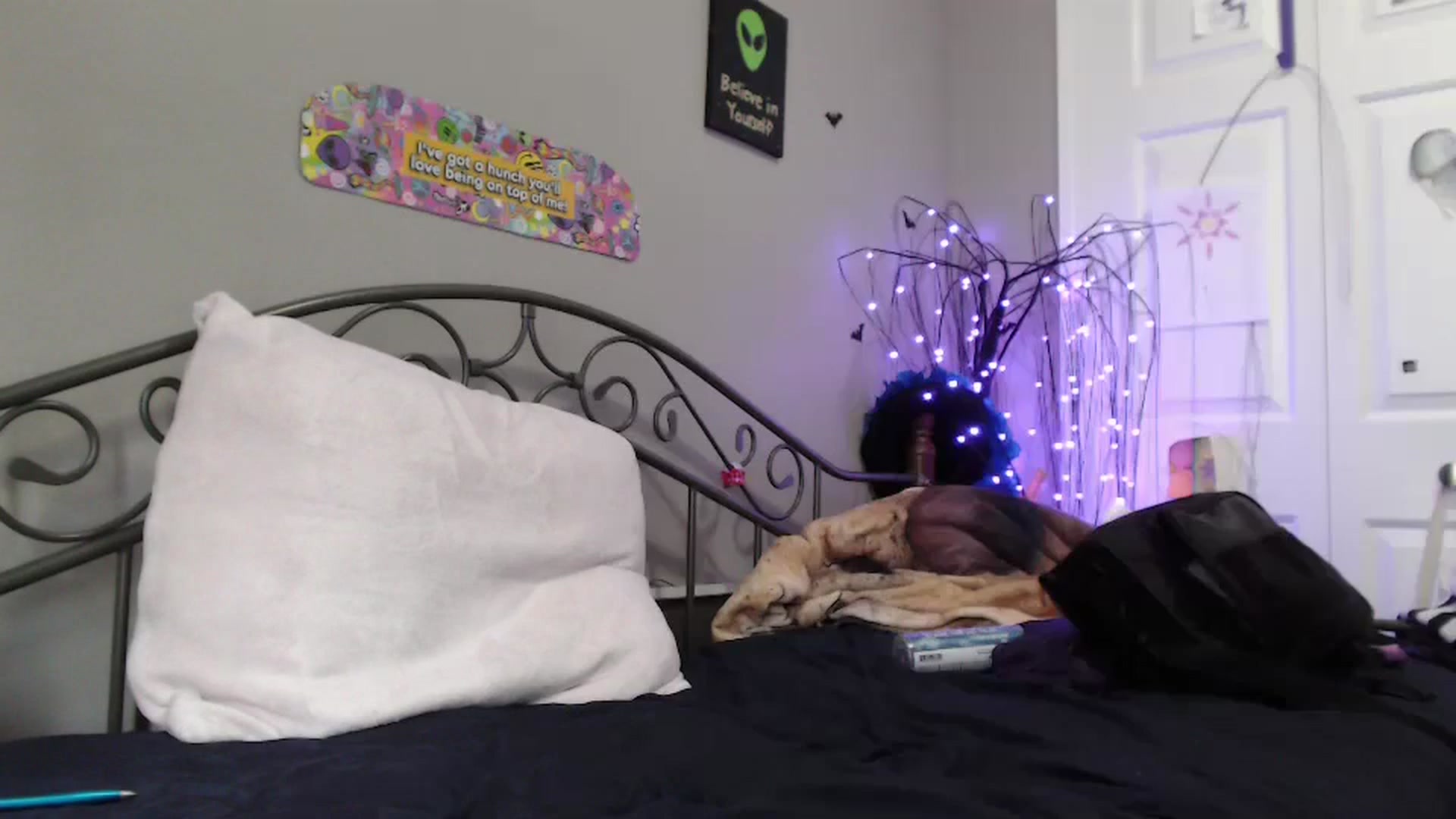 Gallery image thumbnail from Violethooper1's myfreecams stream on, 01/06/2025, 20:29 image 3 of 20