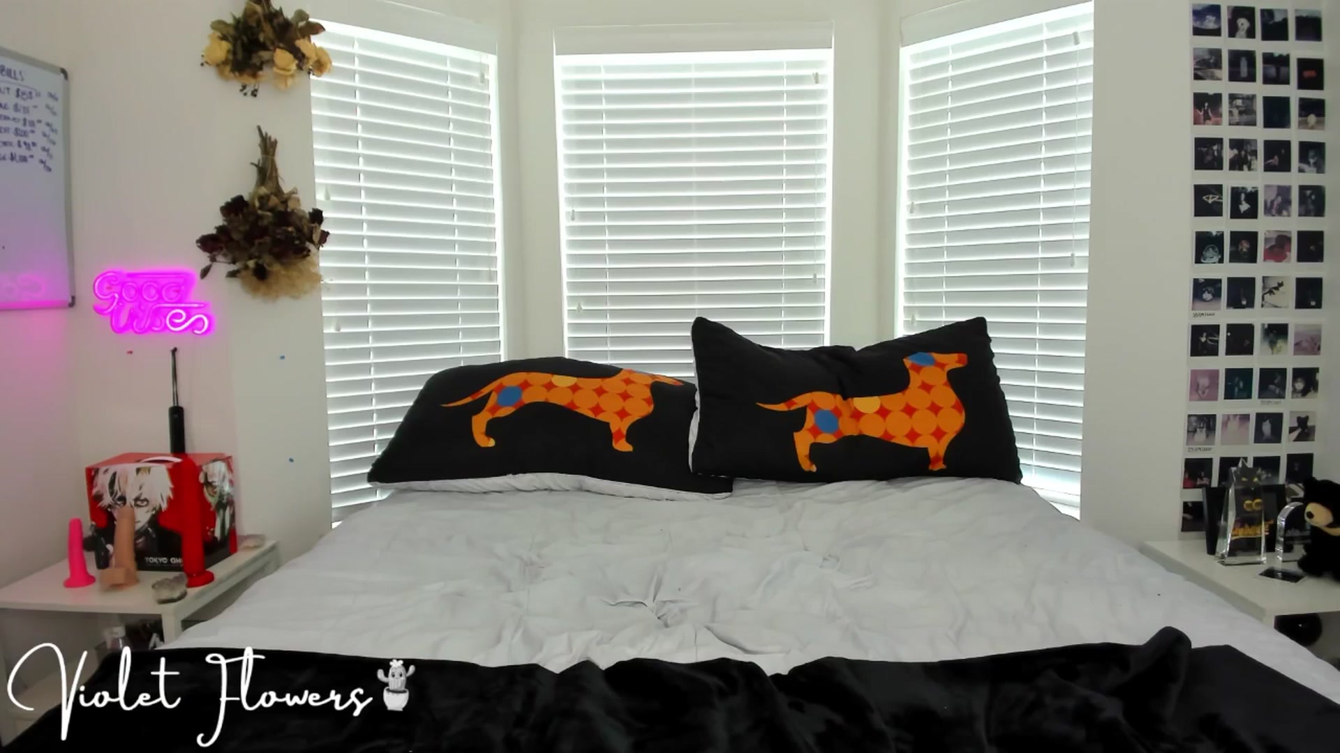 Gallery image thumbnail from VioletttF's myfreecams stream on, 06/15/2025, 18:01 image 16 of 20
