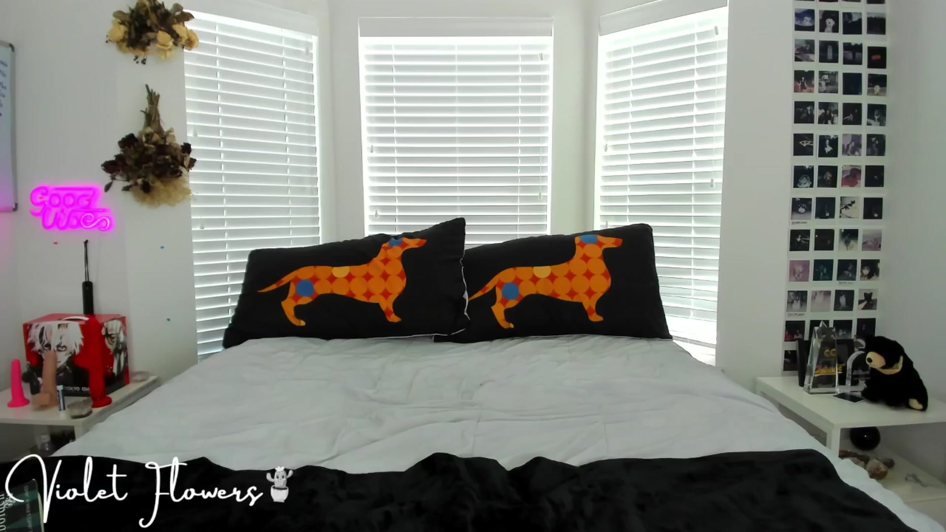 Gallery image thumbnail from VioletttF's myfreecams stream on, 06/18/2025, 16:26 image 14 of 20