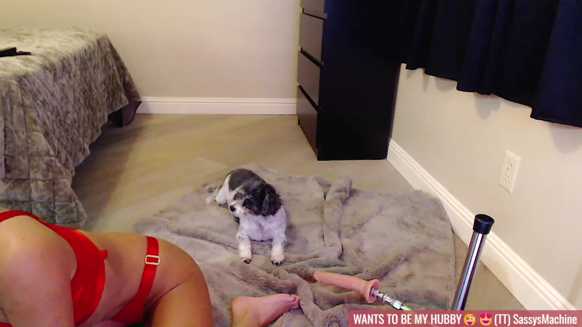 Gallery image thumbnail from Virtual_Wifey's myfreecams stream on, 01/14/2024, 17:11 image 16 of 20