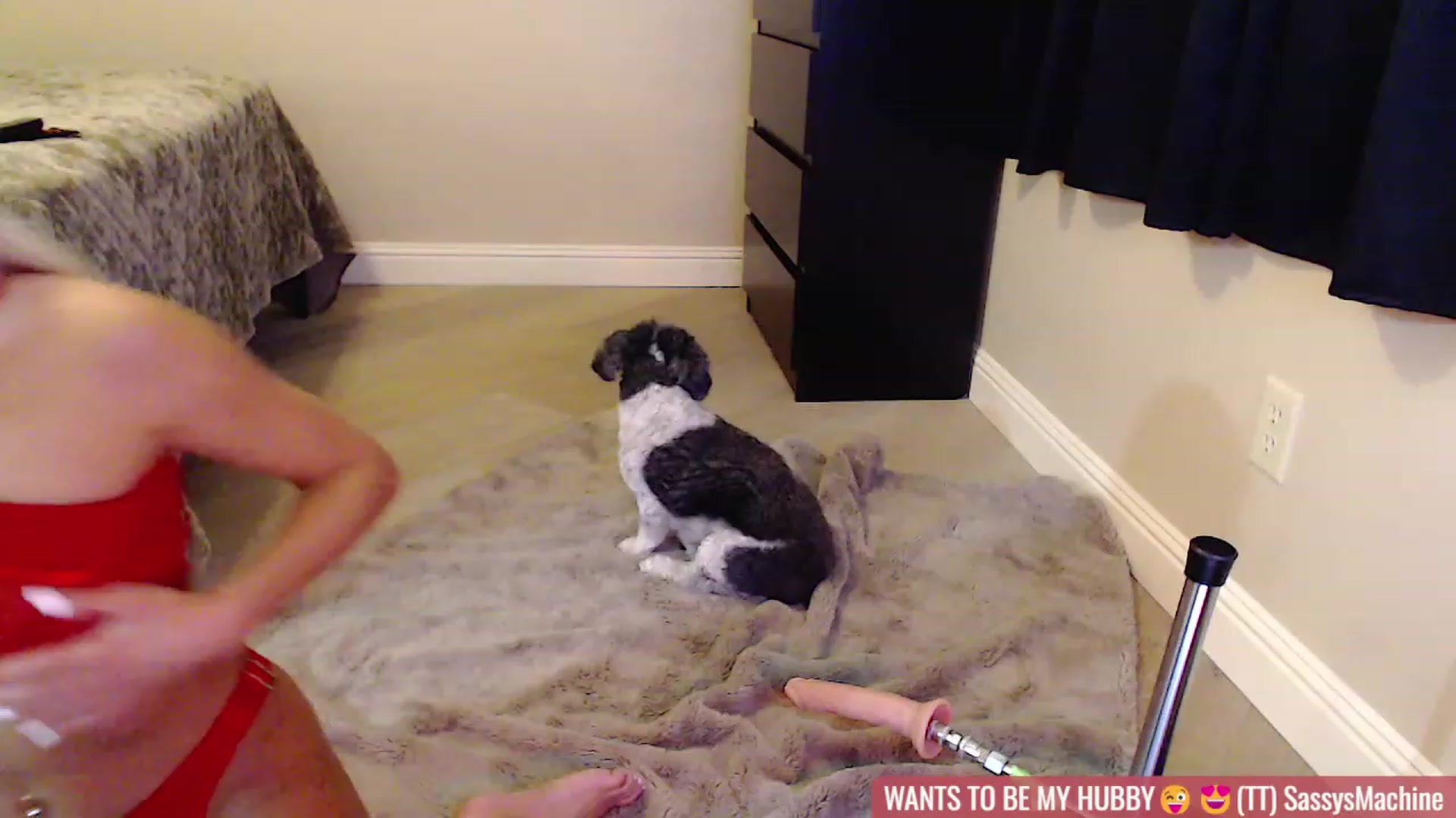 Gallery image thumbnail from Virtual_Wifey's myfreecams stream on, 01/14/2024, 17:11 image 12 of 20