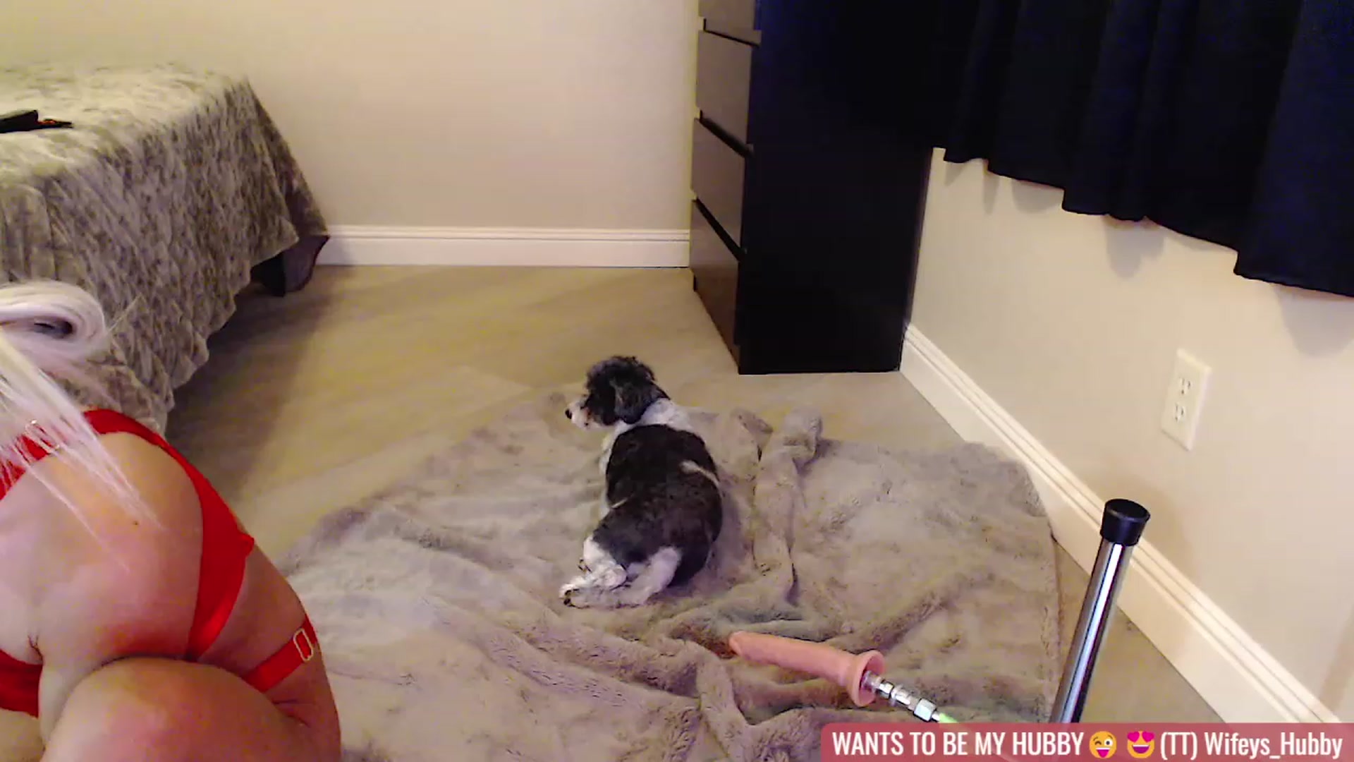 Gallery image thumbnail from Virtual_Wifey's myfreecams stream on, 01/14/2024, 17:11 image 19 of 20