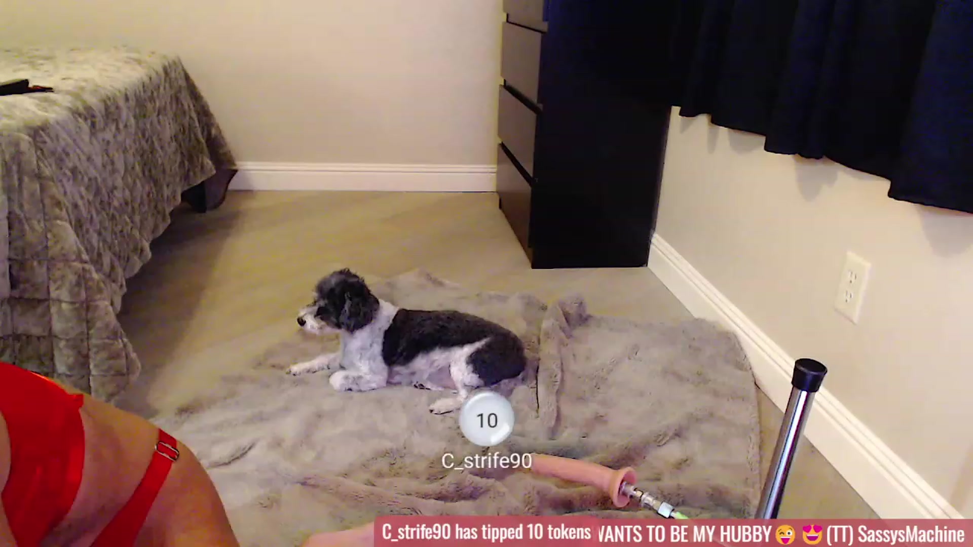 Gallery image thumbnail from Virtual_Wifey's myfreecams stream on, 01/14/2024, 17:11 image 11 of 20