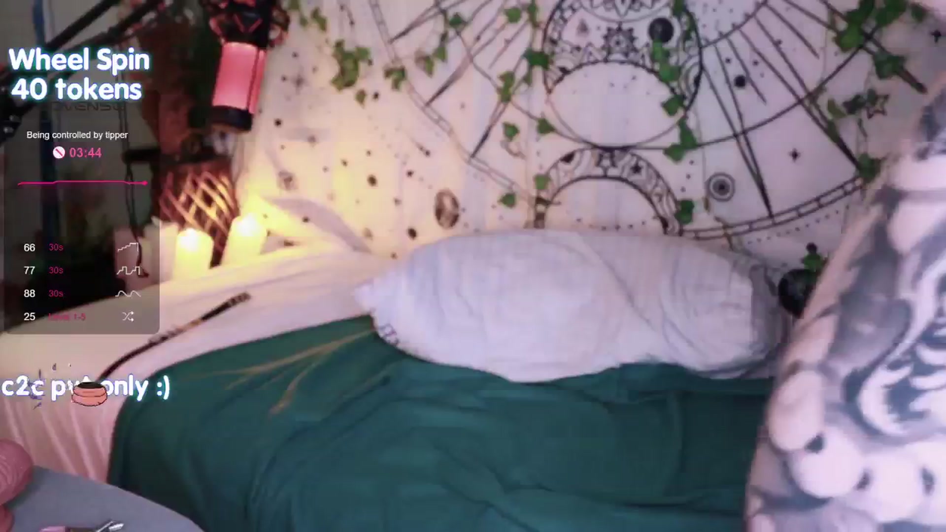 Gallery image thumbnail from Virtual_wafu's myfreecams stream on, 08/28/2024, 17:42 image 20 of 20