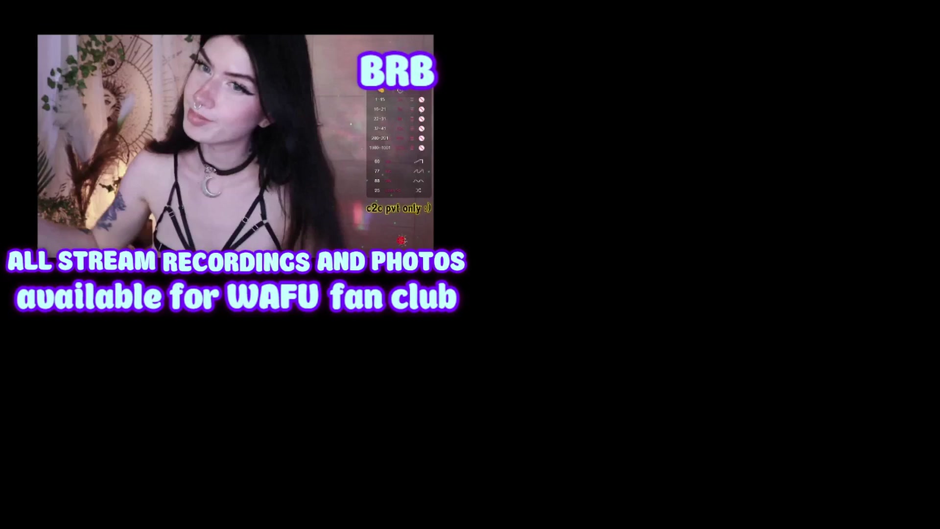 Gallery image thumbnail from Virtual_wafu's myfreecams stream on, 11/30/2024, 18:19 image 14 of 20