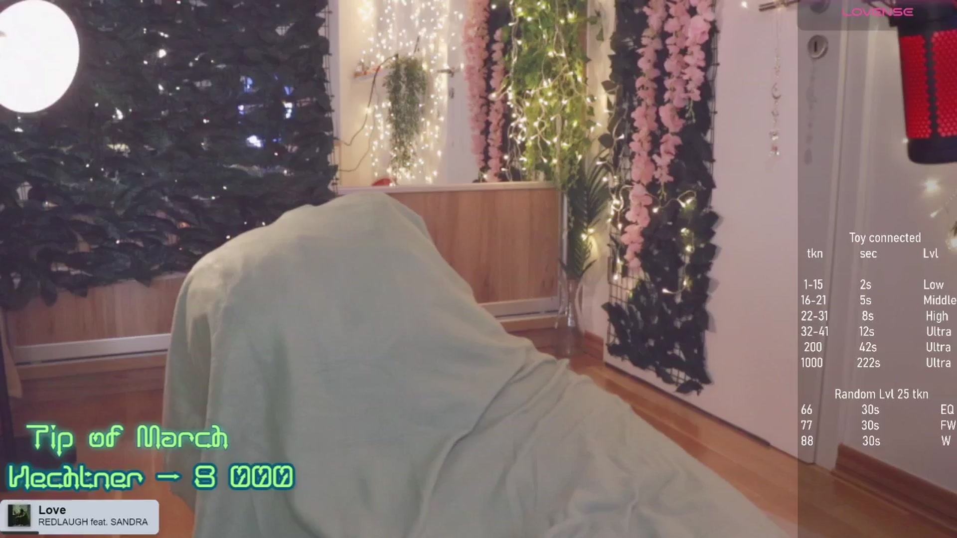 Gallery image thumbnail from Virtual_wafu's myfreecams stream on, 03/29/2025, 16:08 image 20 of 20