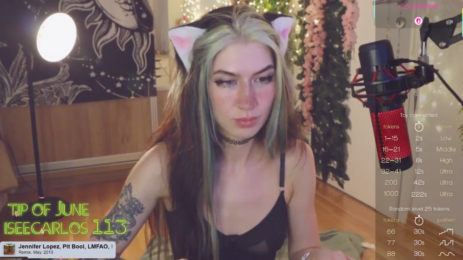 Gallery image thumbnail from Virtual_wafu's myfreecams stream on, 06/01/2025, 19:07 image 4 of 20
