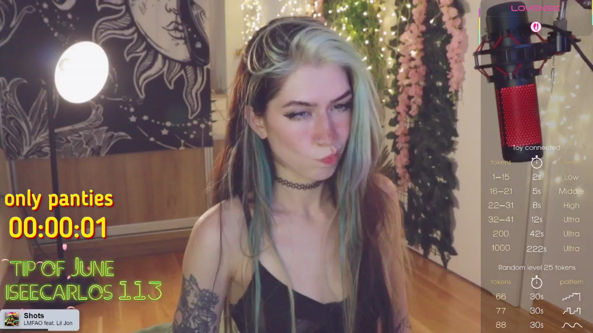 Gallery image thumbnail from Virtual_wafu's myfreecams stream on, 06/01/2025, 19:07 image 13 of 20