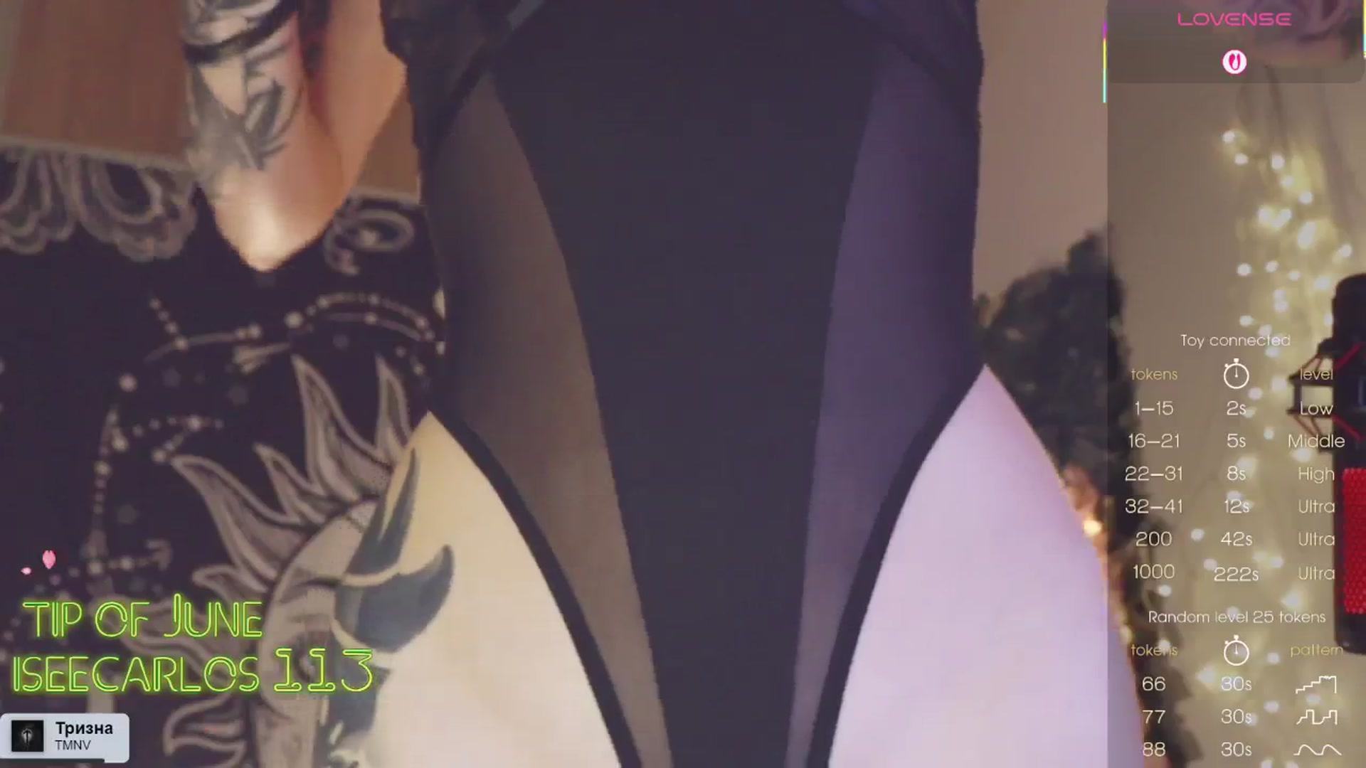 Gallery image thumbnail from Virtual_wafu's myfreecams stream on, 06/01/2025, 19:07 image 17 of 20
