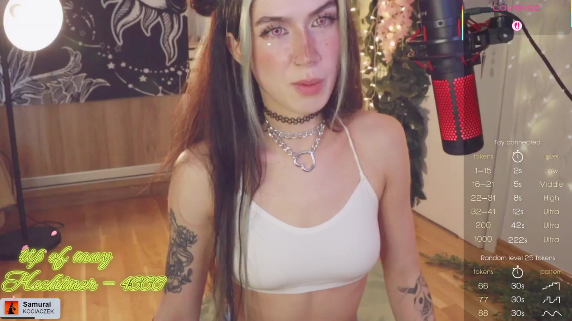 Gallery image thumbnail from Virtual_wafu's myfreecams stream on, 06/07/2025, 14:41 image 11 of 20