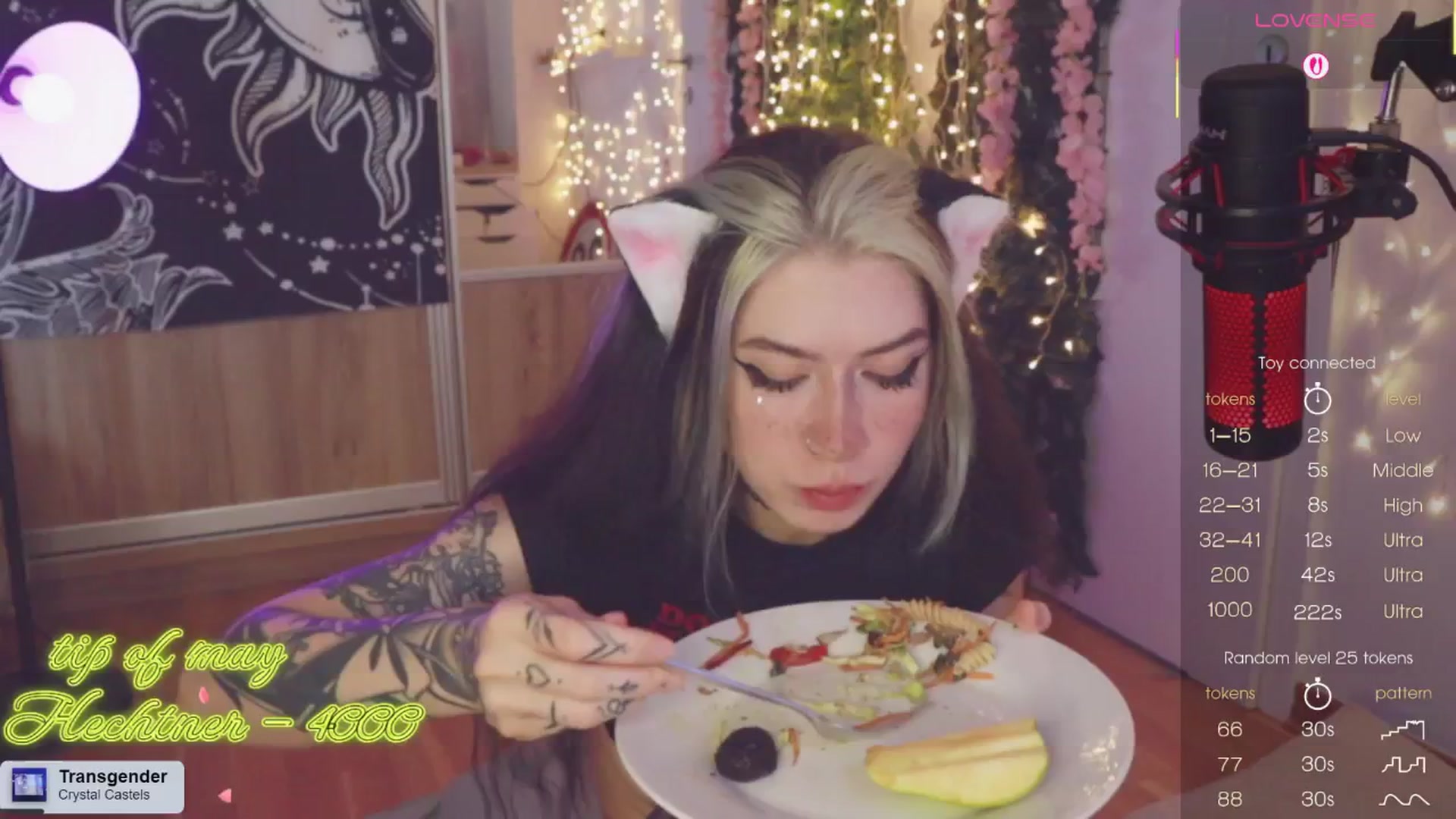 Gallery image thumbnail from Virtual_wafu's myfreecams stream on, 06/08/2025, 14:28 image 4 of 20