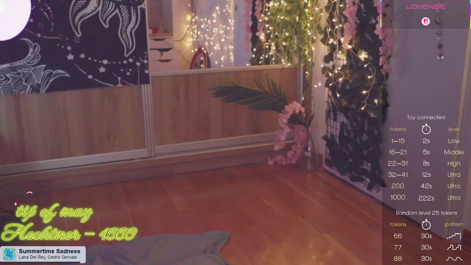 Gallery image thumbnail from Virtual_wafu's myfreecams stream on, 06/08/2025, 16:35 image 20 of 20