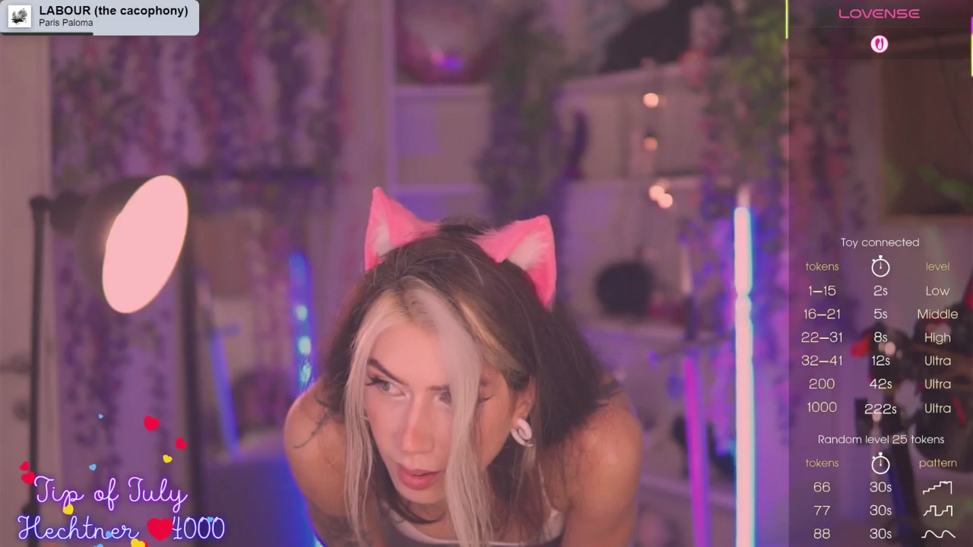 Gallery image thumbnail from Virtual_wafu's myfreecams stream on, 07/15/2025, 10:42 image 12 of 20