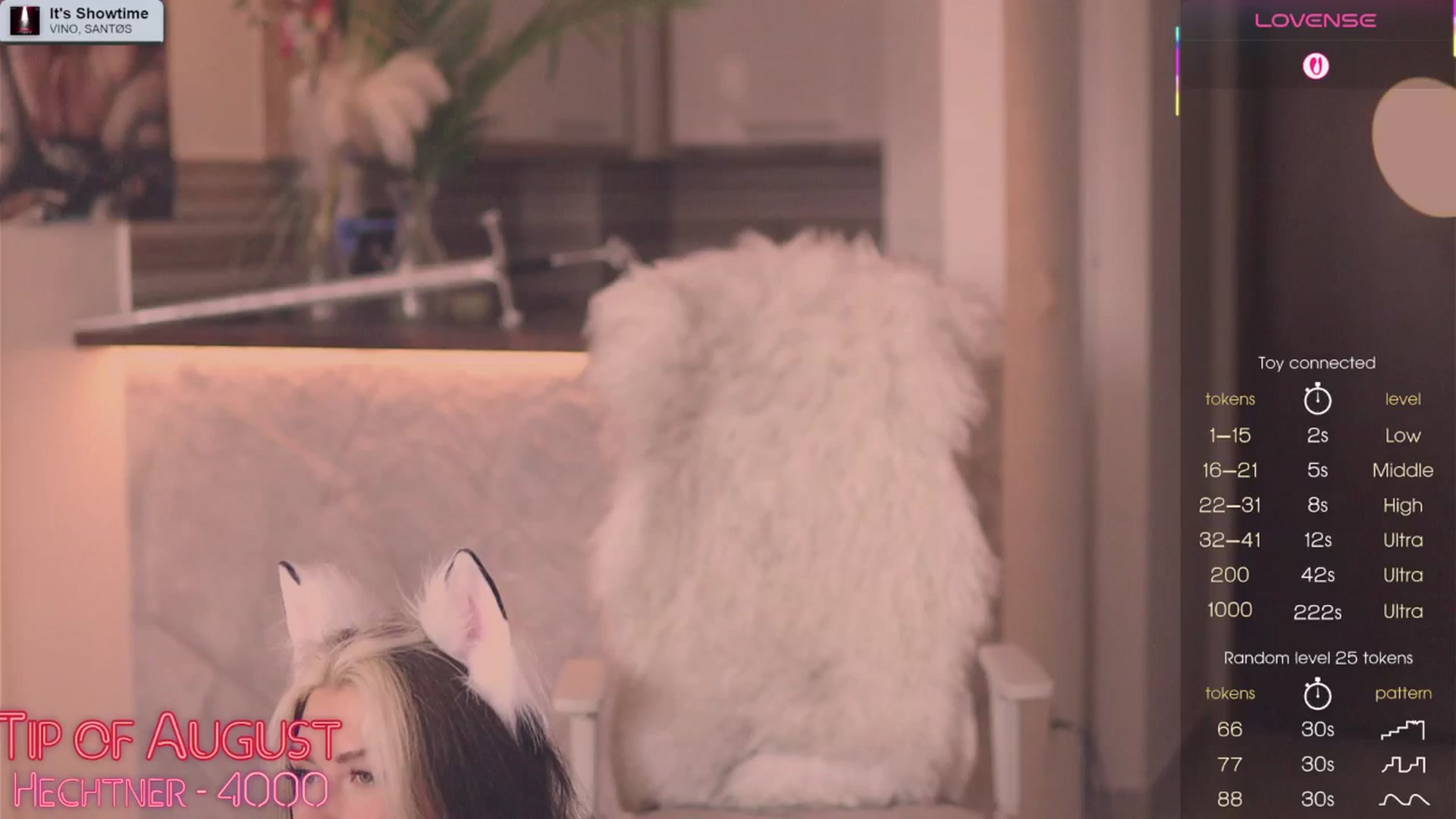 Gallery image thumbnail from Virtual_wafu's myfreecams stream on, 08/08/2025, 14:34 image 4 of 20
