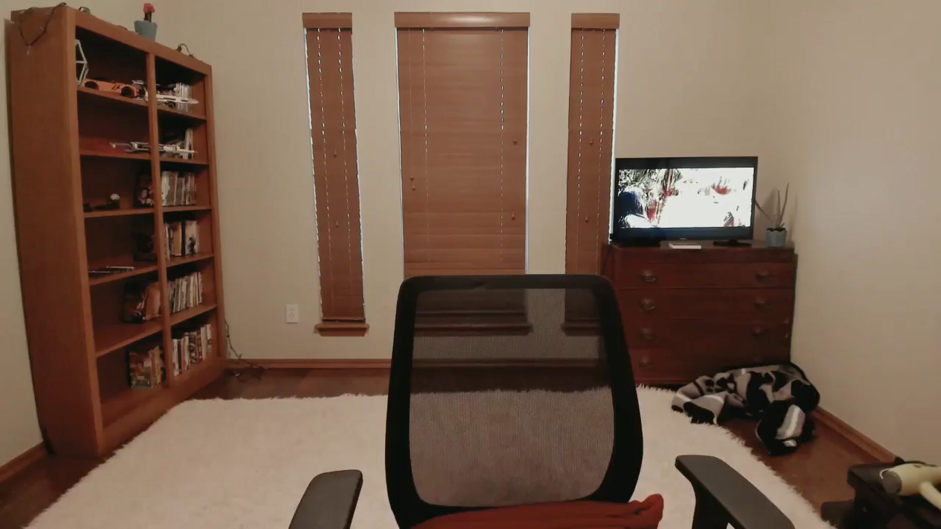 Gallery image thumbnail from VitaminD_XXX's myfreecams stream on, 08/01/2025, 14:01 image 8 of 20