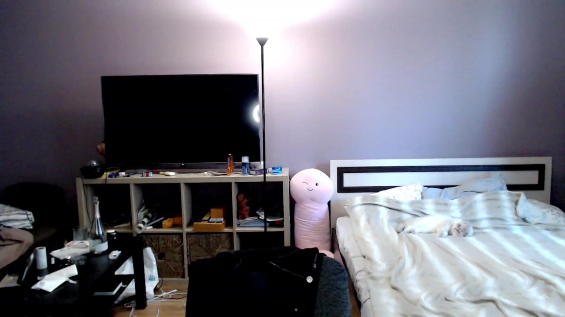 Gallery image thumbnail from VivicaCoke's myfreecams stream on, 11/26/2022, 09:26 image 2 of 20