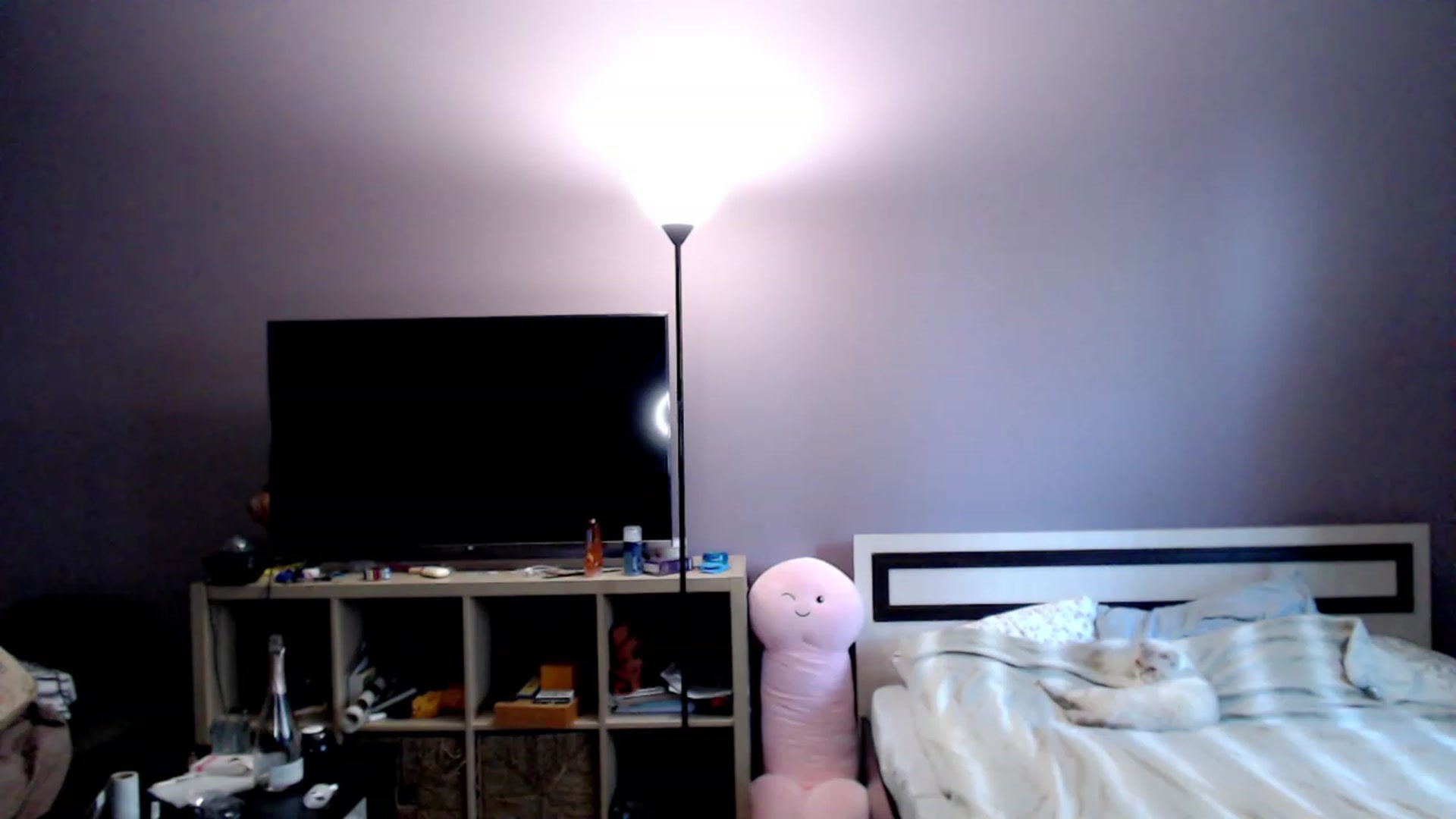 Gallery image thumbnail from VivicaCoke's myfreecams stream on, 11/26/2022, 09:26 image 18 of 20