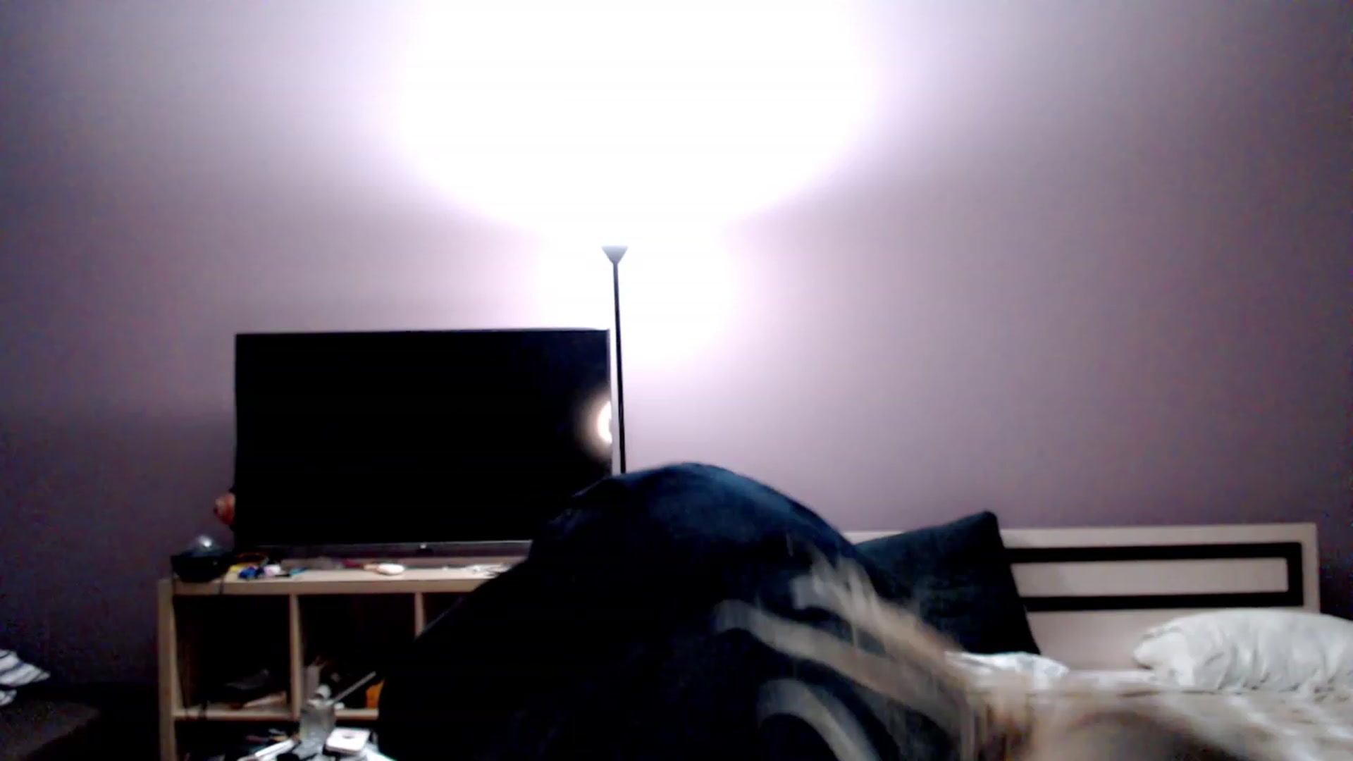Gallery image thumbnail from VivicaCoke's myfreecams stream on, 12/01/2022, 17:52 image 8 of 20