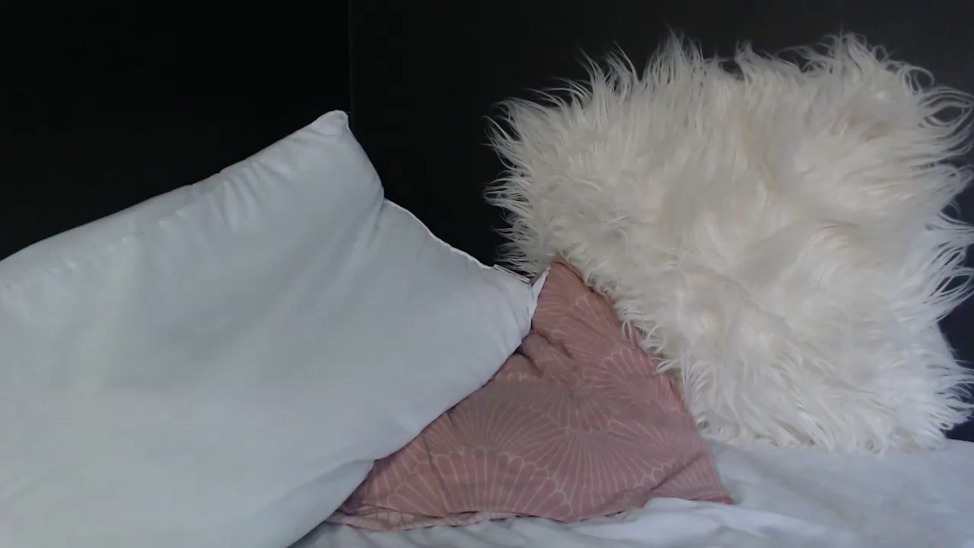 Gallery image thumbnail from VivienneFoxUK's myfreecams stream on, 07/23/2023, 14:35 image 7 of 20