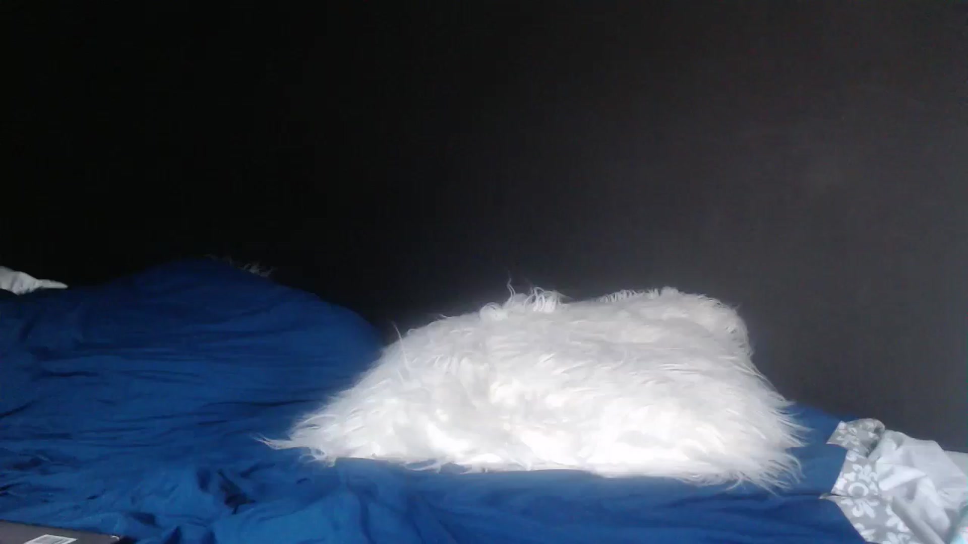 Gallery image thumbnail from VivienneFoxUK's myfreecams stream on, 07/30/2023, 12:56 image 16 of 20