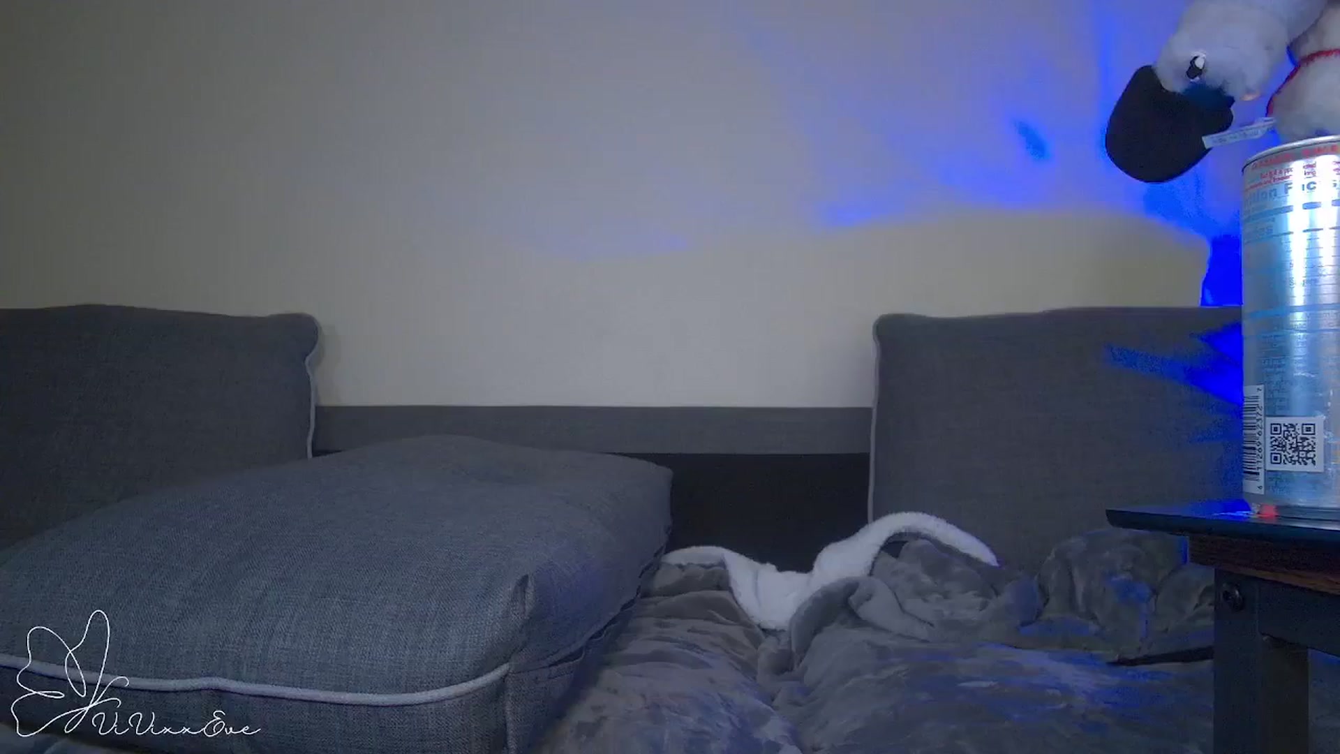 Gallery image thumbnail from Vivixxeve's myfreecams stream on, 10/10/2025, 05:05 image 17 of 20