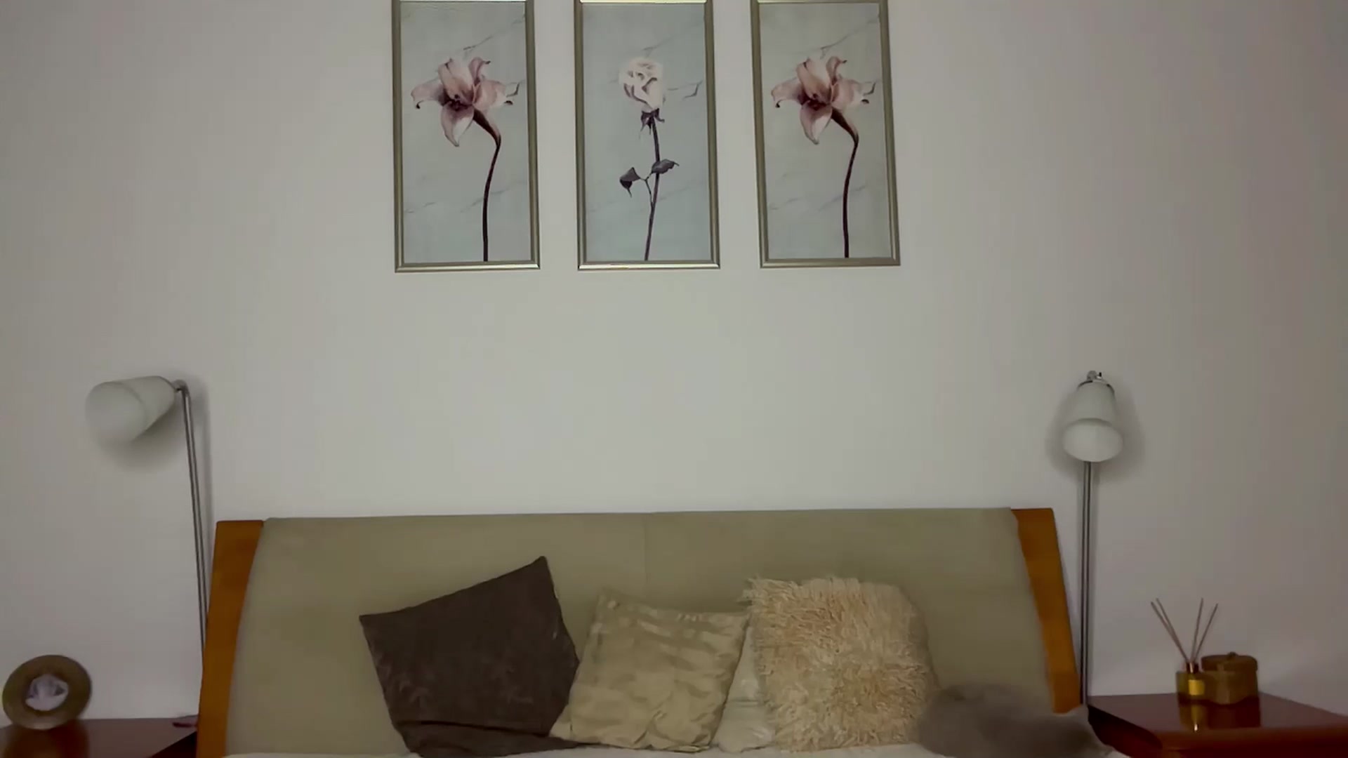 Gallery image thumbnail from VivvAmm's myfreecams stream on, 10/18/2024, 21:36 image 15 of 20