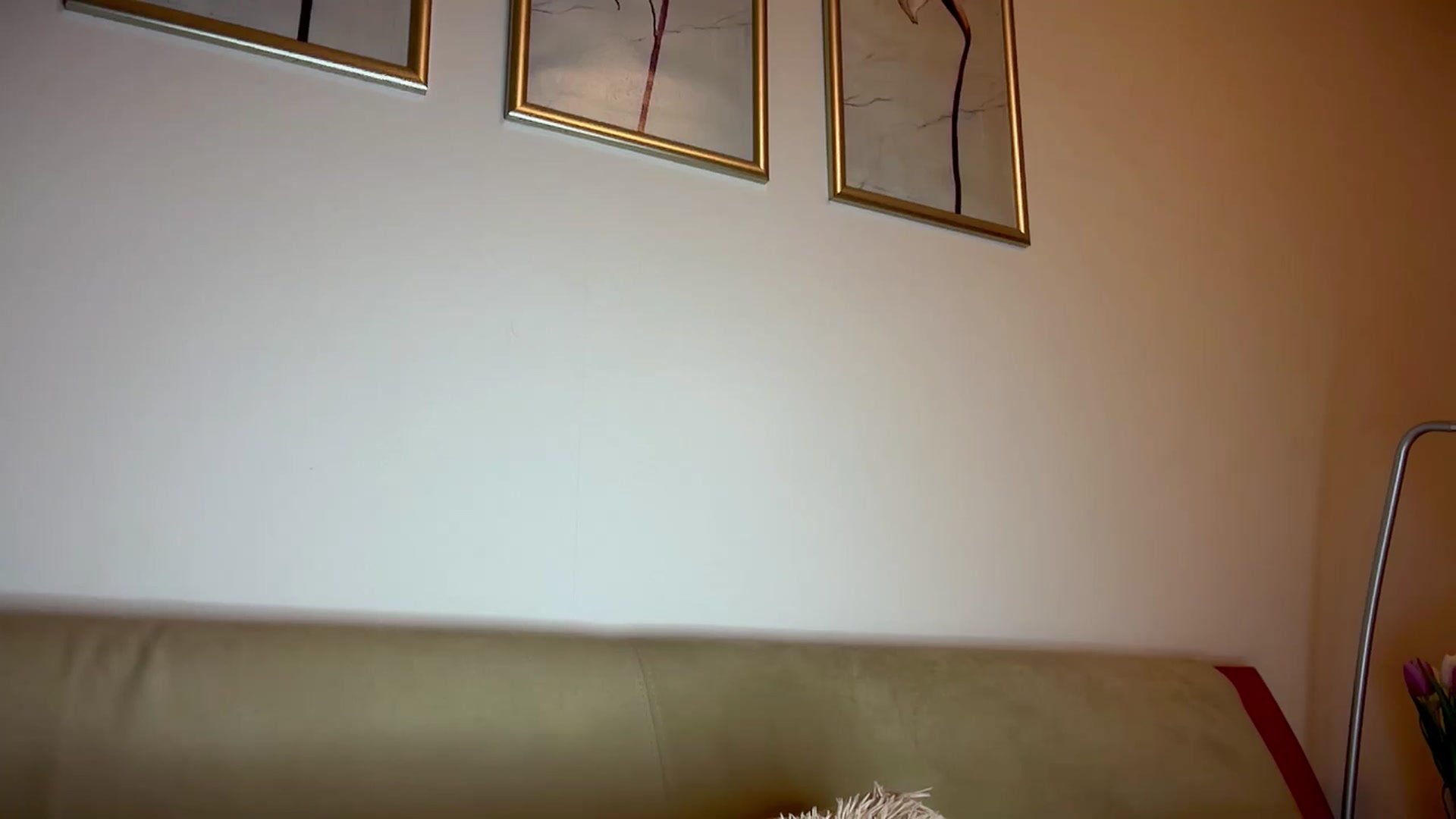 Gallery image thumbnail from VivvAmm's myfreecams stream on, 03/01/2025, 20:08 image 13 of 20