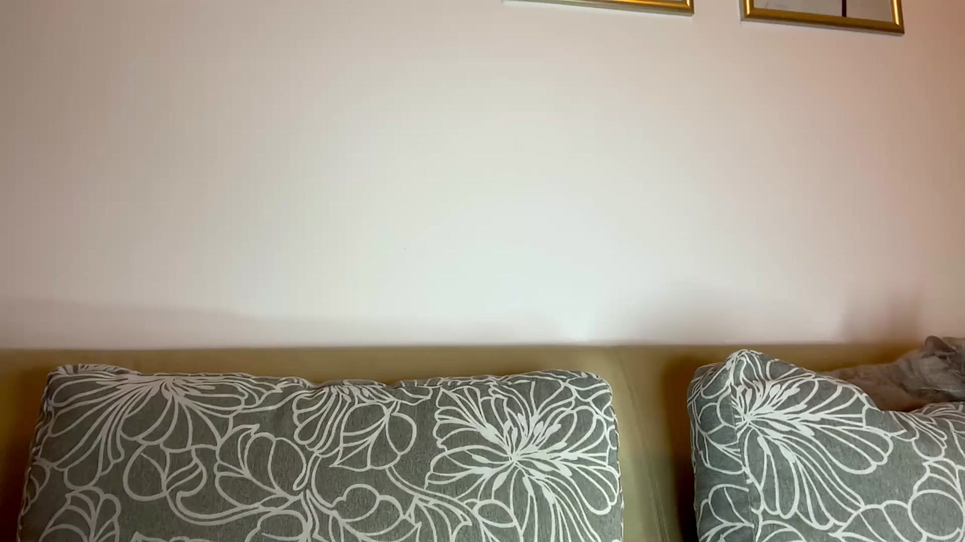Gallery image thumbnail from VivvAmm's myfreecams stream on, 05/30/2025, 19:17 image 1 of 20