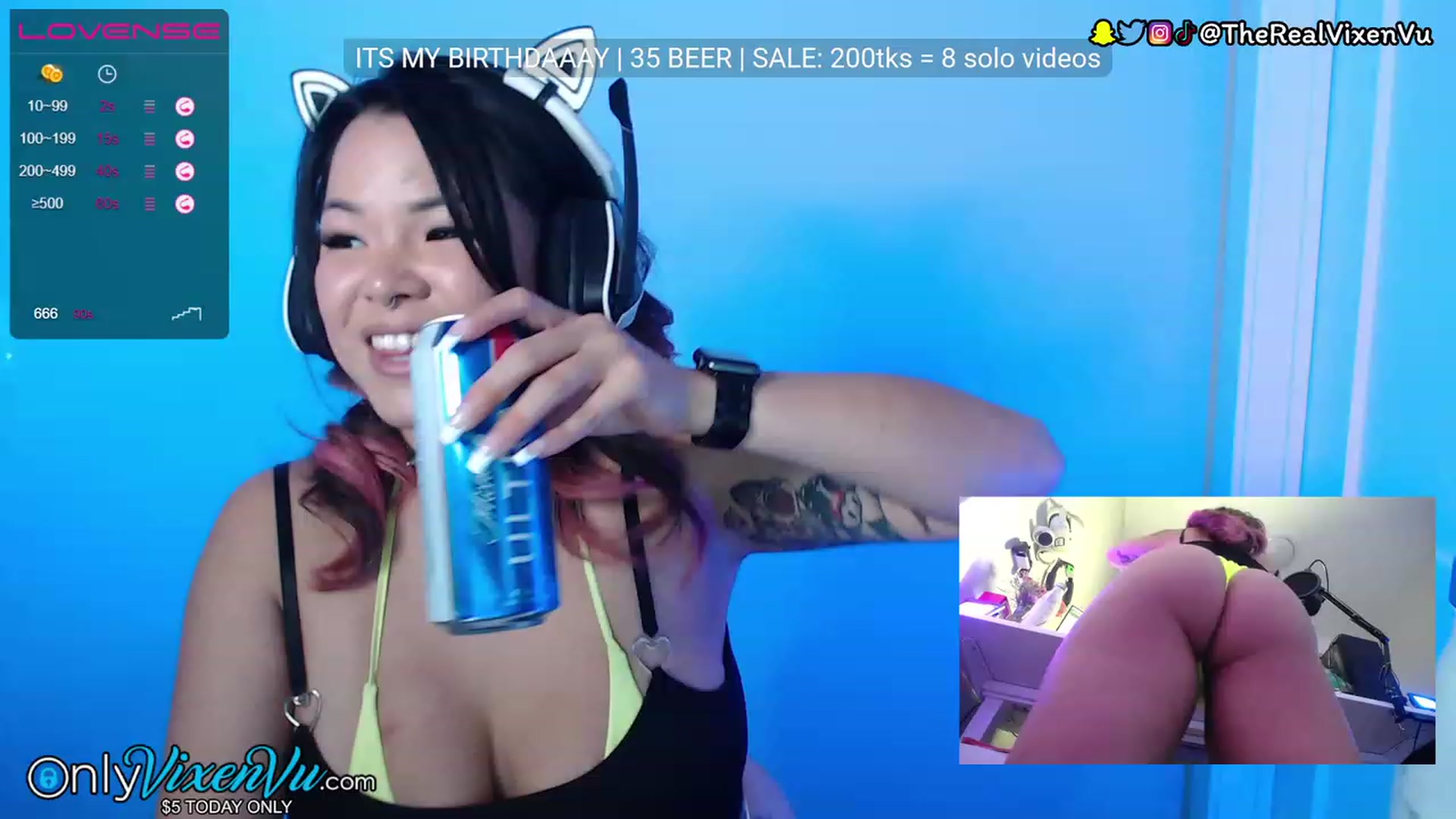 Gallery image thumbnail from VixenVu's myfreecams stream on, 12/06/2022, 02:53 image 13 of 20