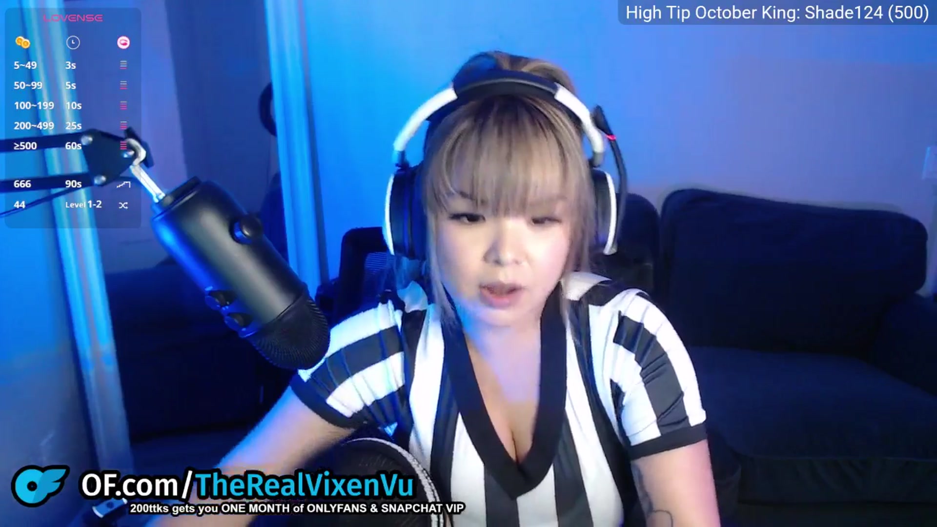 Gallery image thumbnail from VixenVu's myfreecams stream on, 10/28/2025, 24:03 image 19 of 20