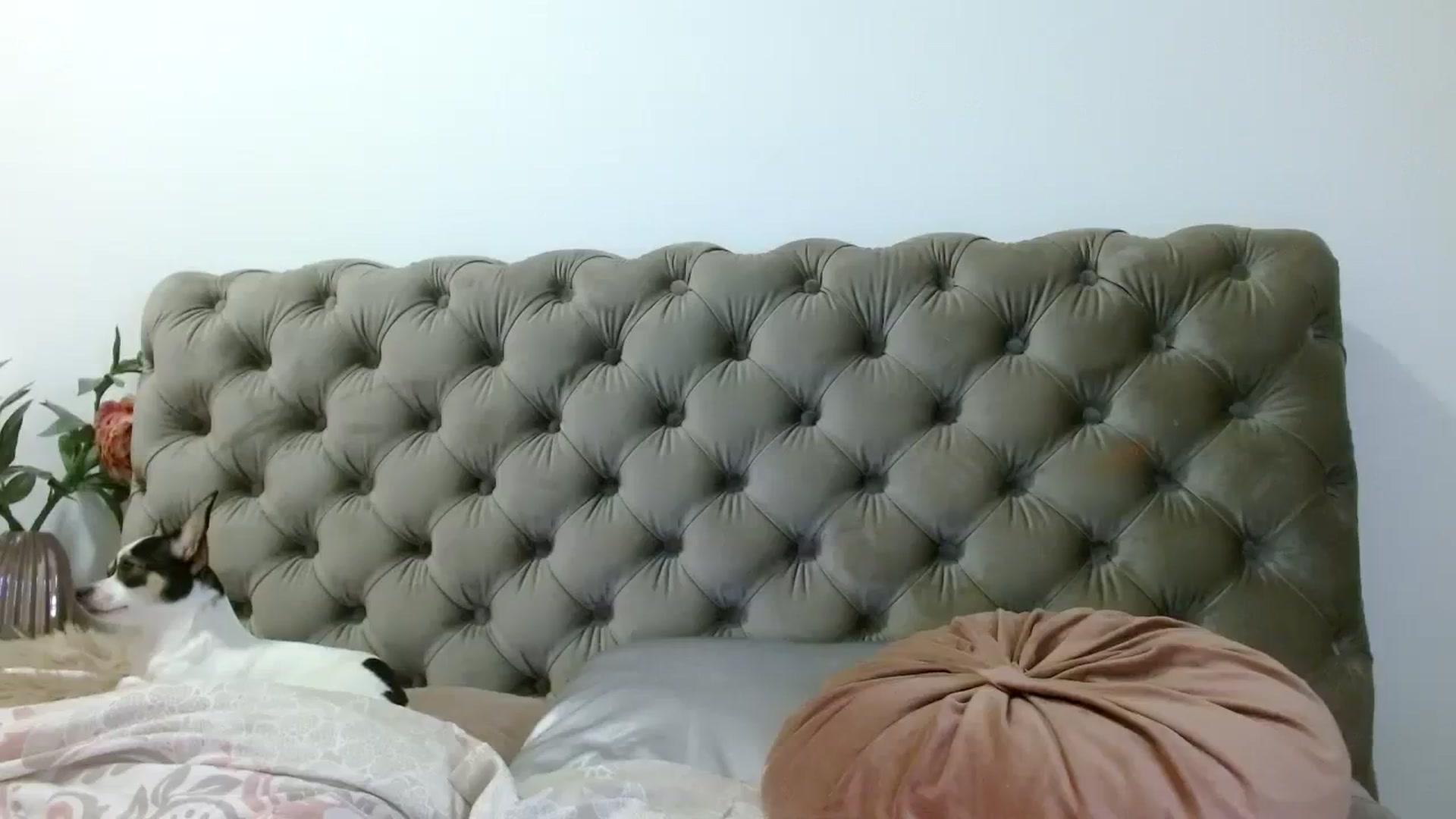 Gallery image thumbnail from Vixen_Eliana's myfreecams stream on, 11/12/2023, 02:54 image 3 of 20